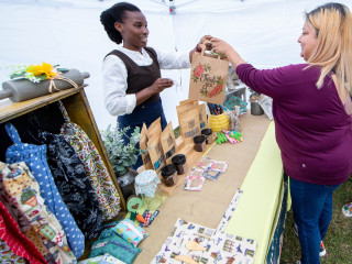 June's Happenings in San Antonio header image.