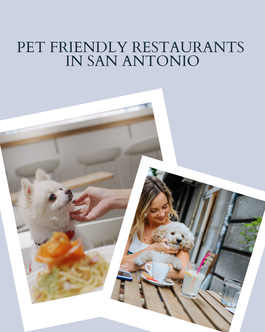 🐾 Pet-Friendly Restaurants in San Antonio You’ll Love header image.
