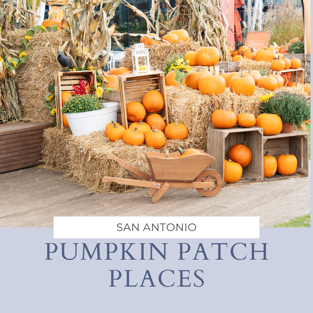 Best Pumpkin Patches to Visit in San Antonio, Texas header image.