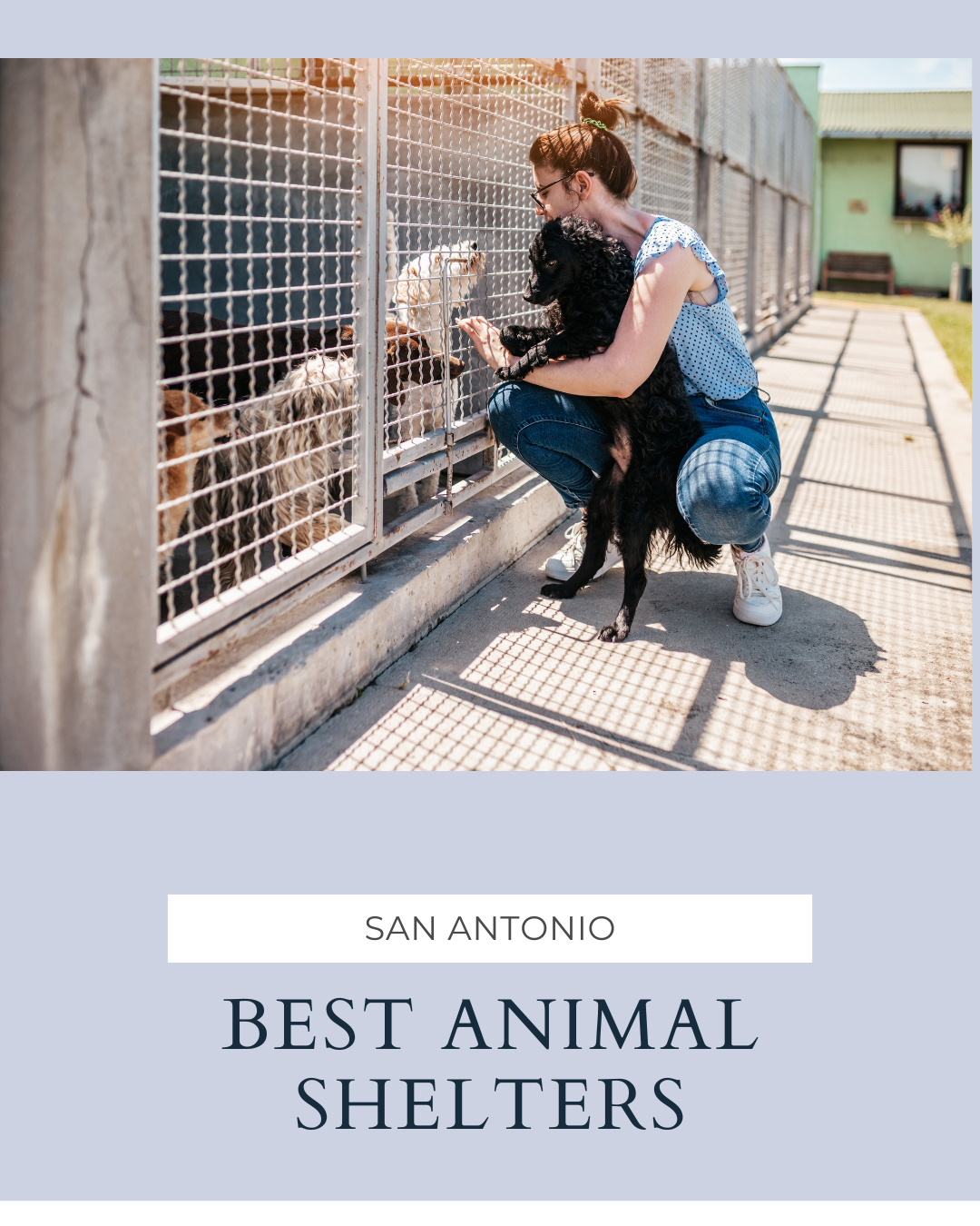 🐾 Best Animal Shelters in San Antonio: Where to Adopt, Volunteer, or Give Back header image.