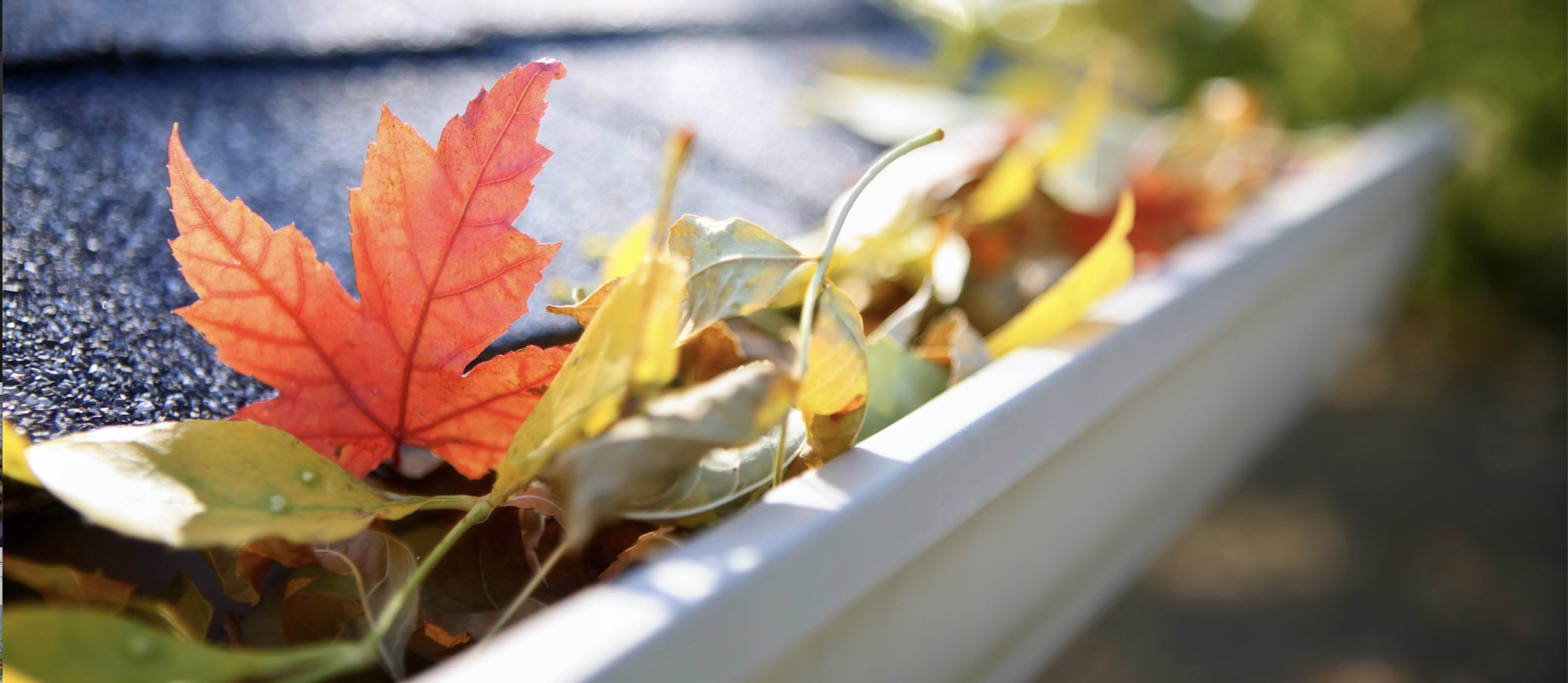 Homeowners Fall To Do List header image.