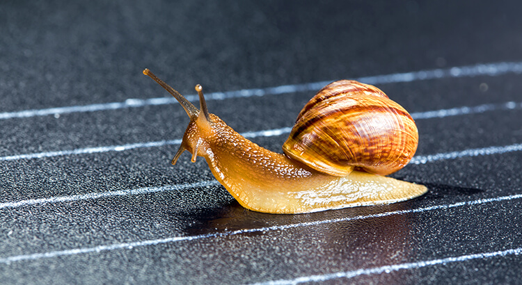 How Much House Can You Really Afford? header image.