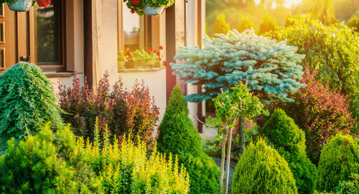 Increase Your Home’s Value with These Landscaping Ideas header image.