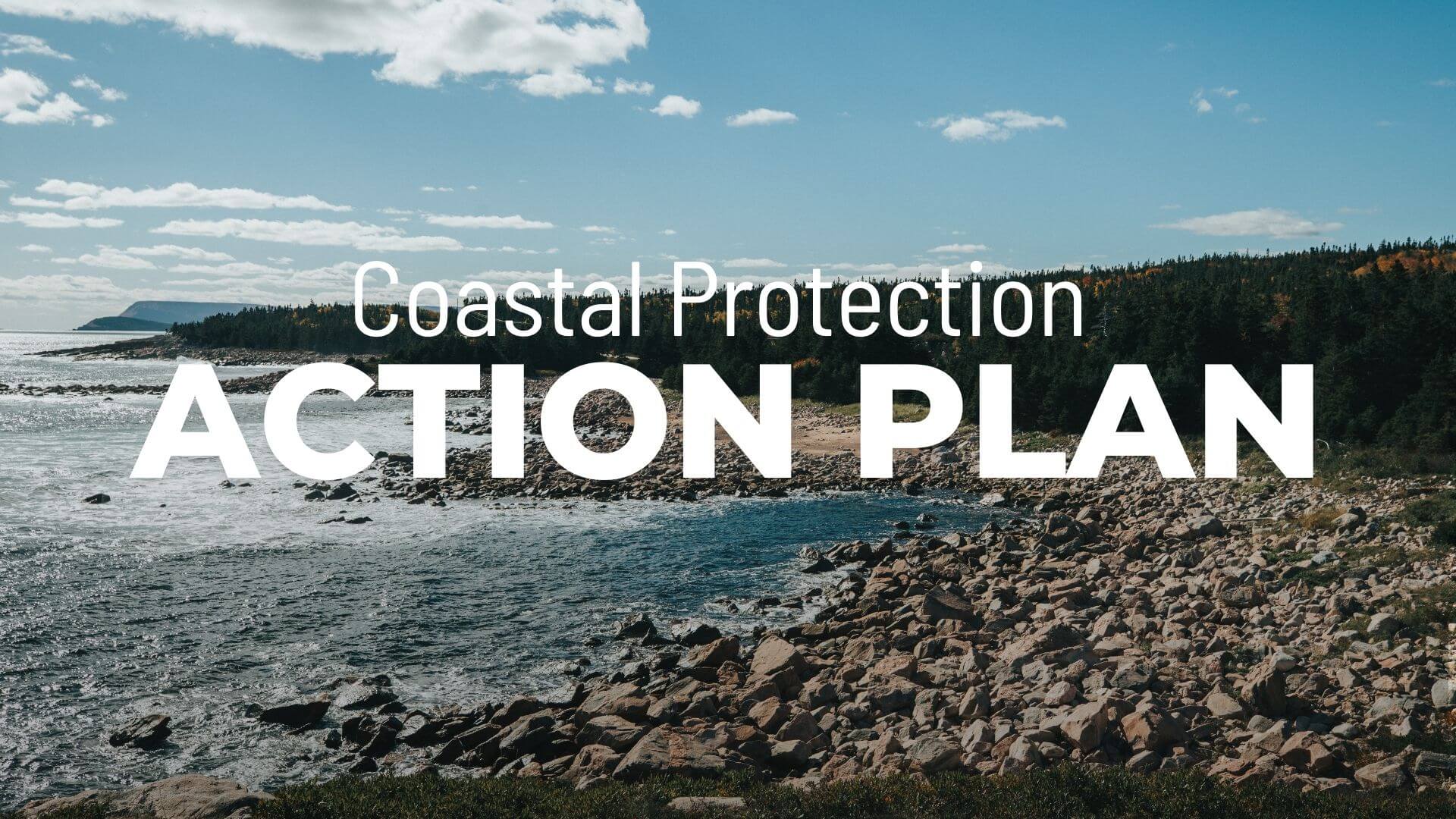 Coastal Protection Action Plan header image.
