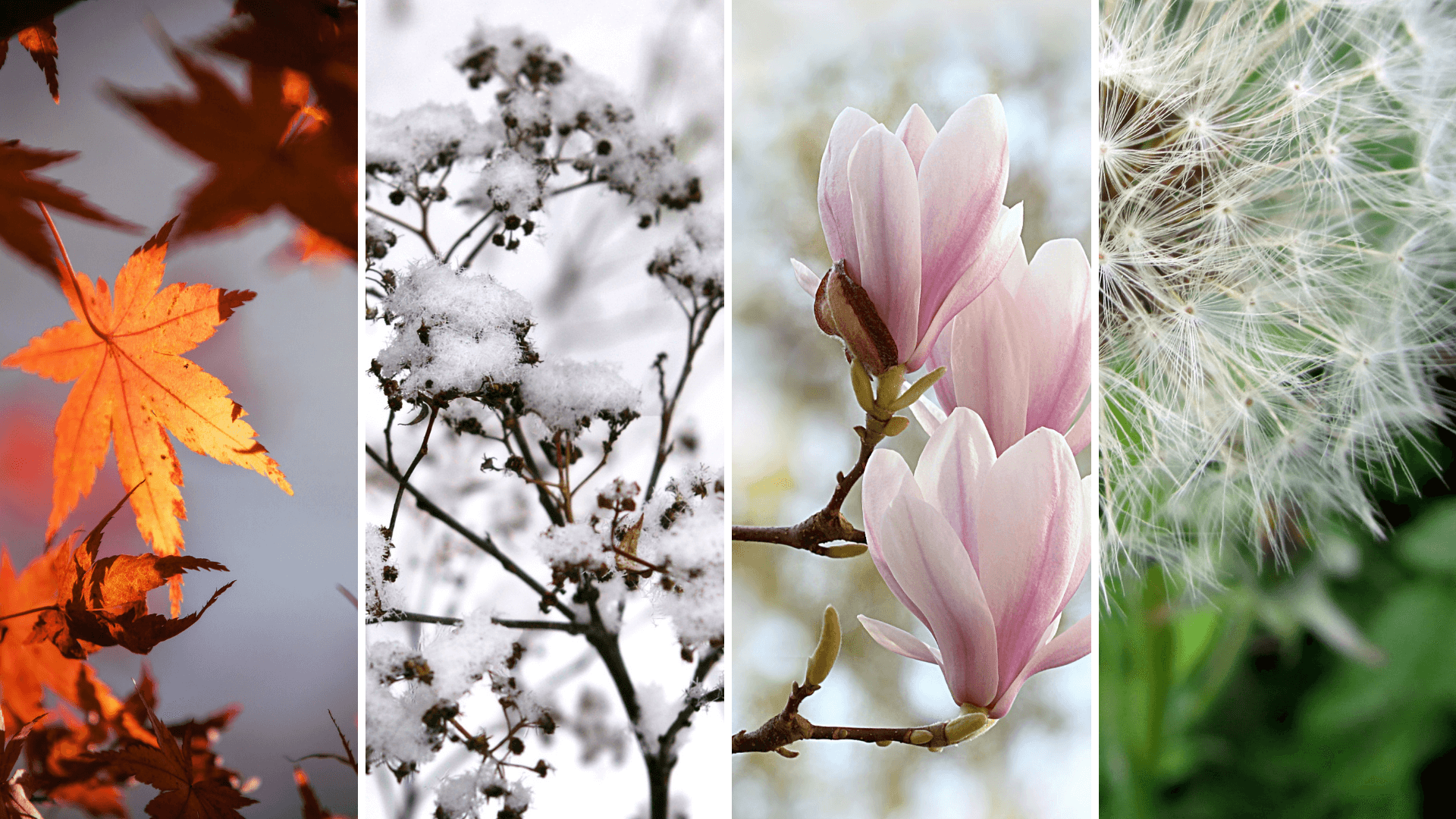 Sell Any Time Of Year header image.