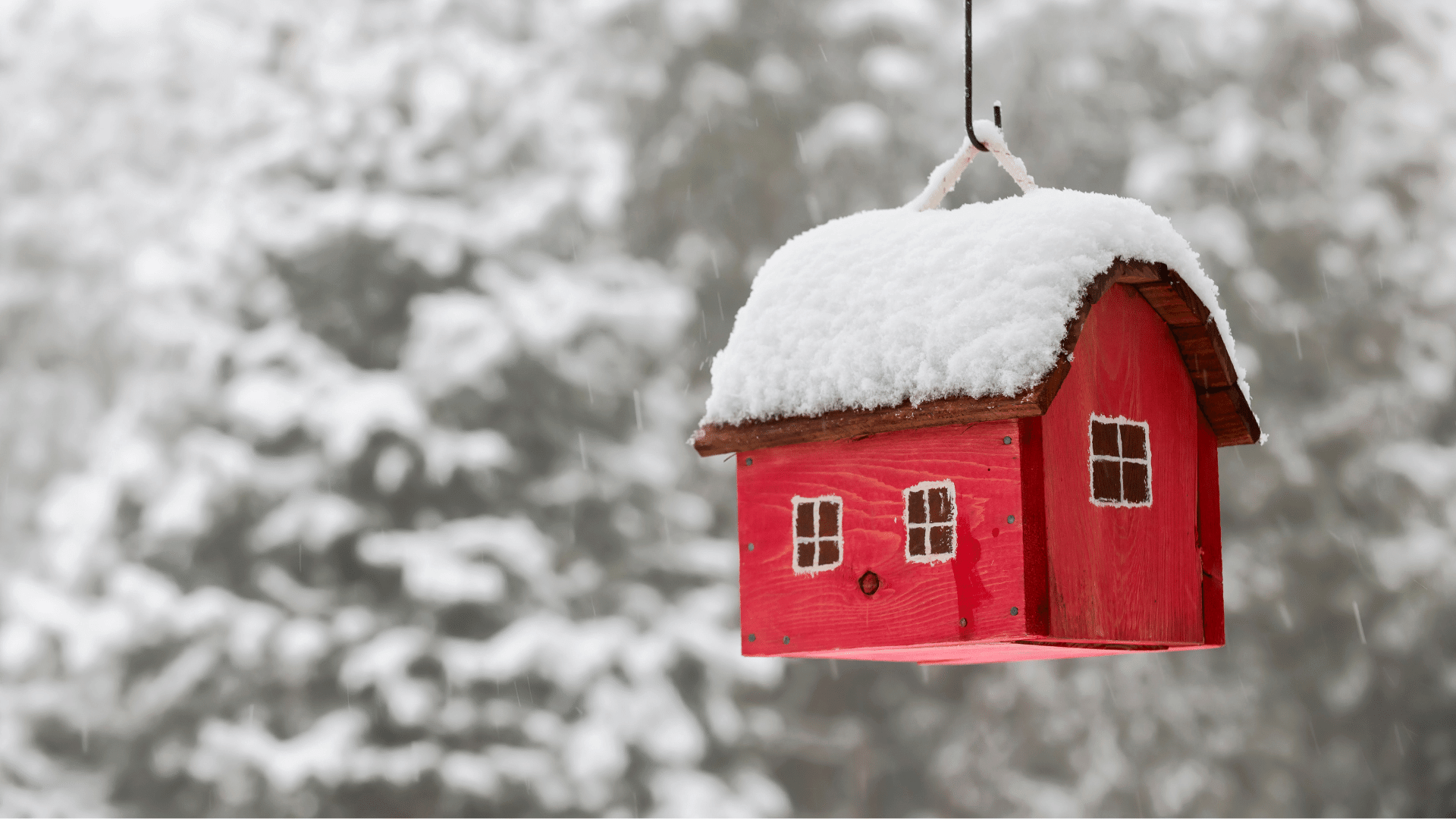 Red. Bird House in Winter