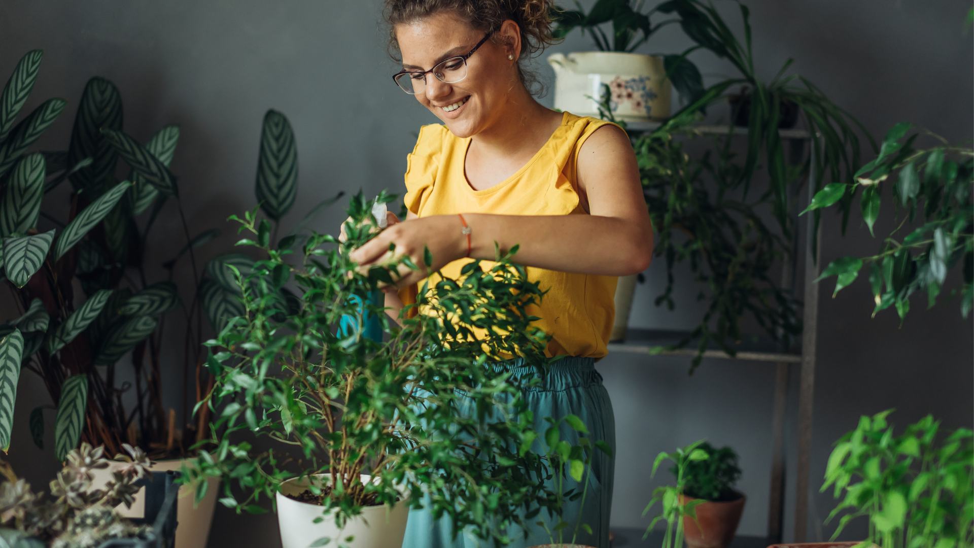 Woman pruning House Plans