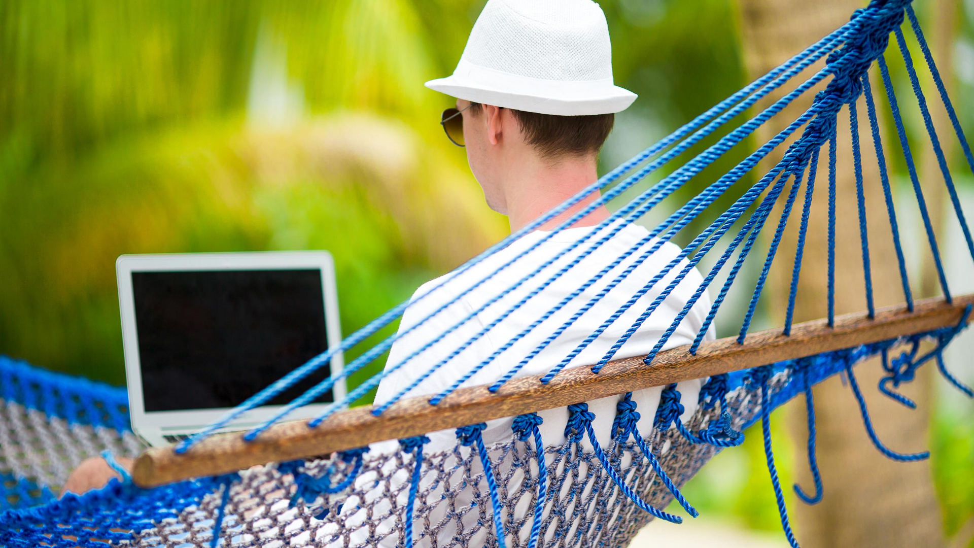 person laying in hammock on laptop