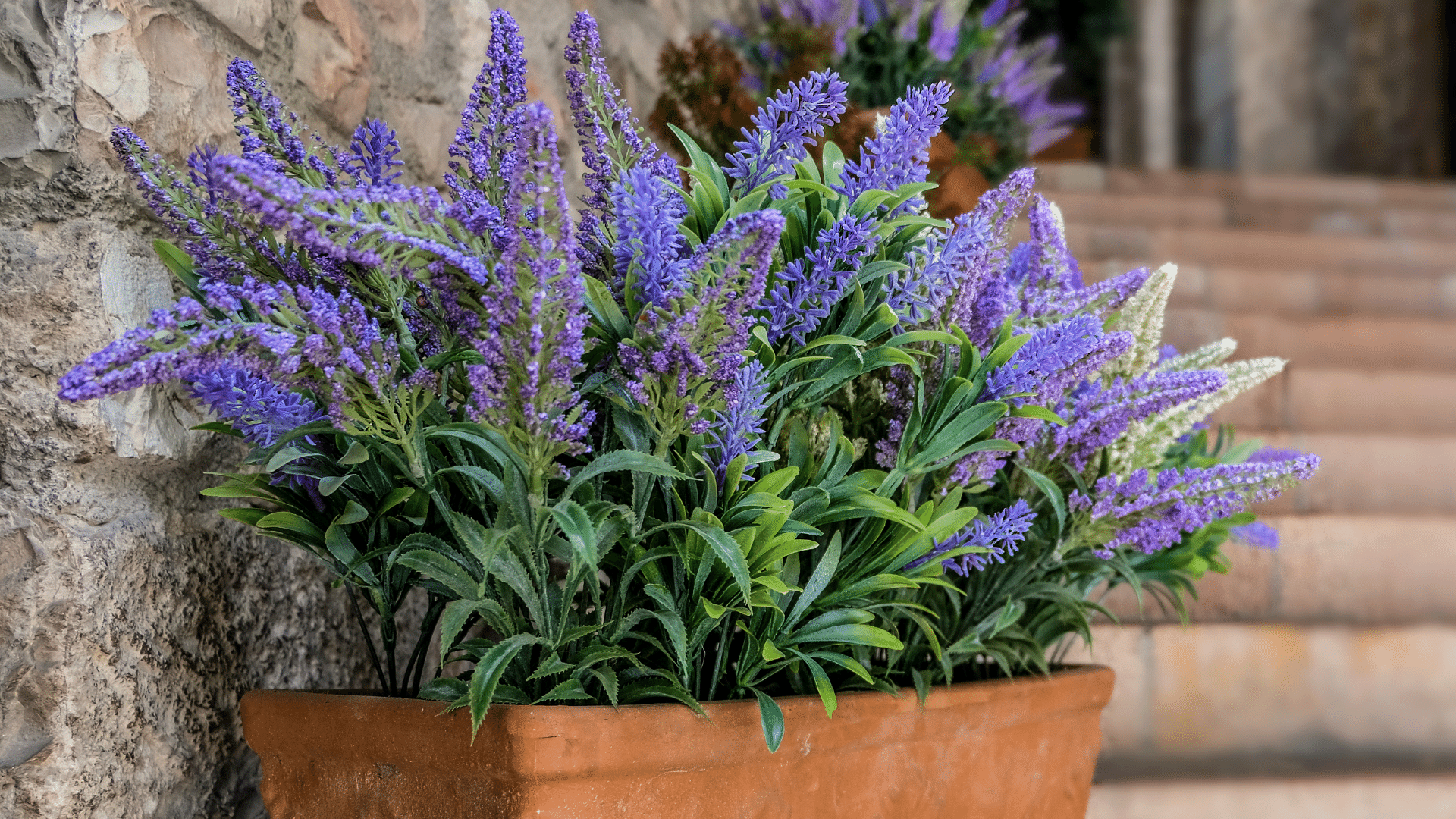 Landscape With Colour And Bug Protection header image.