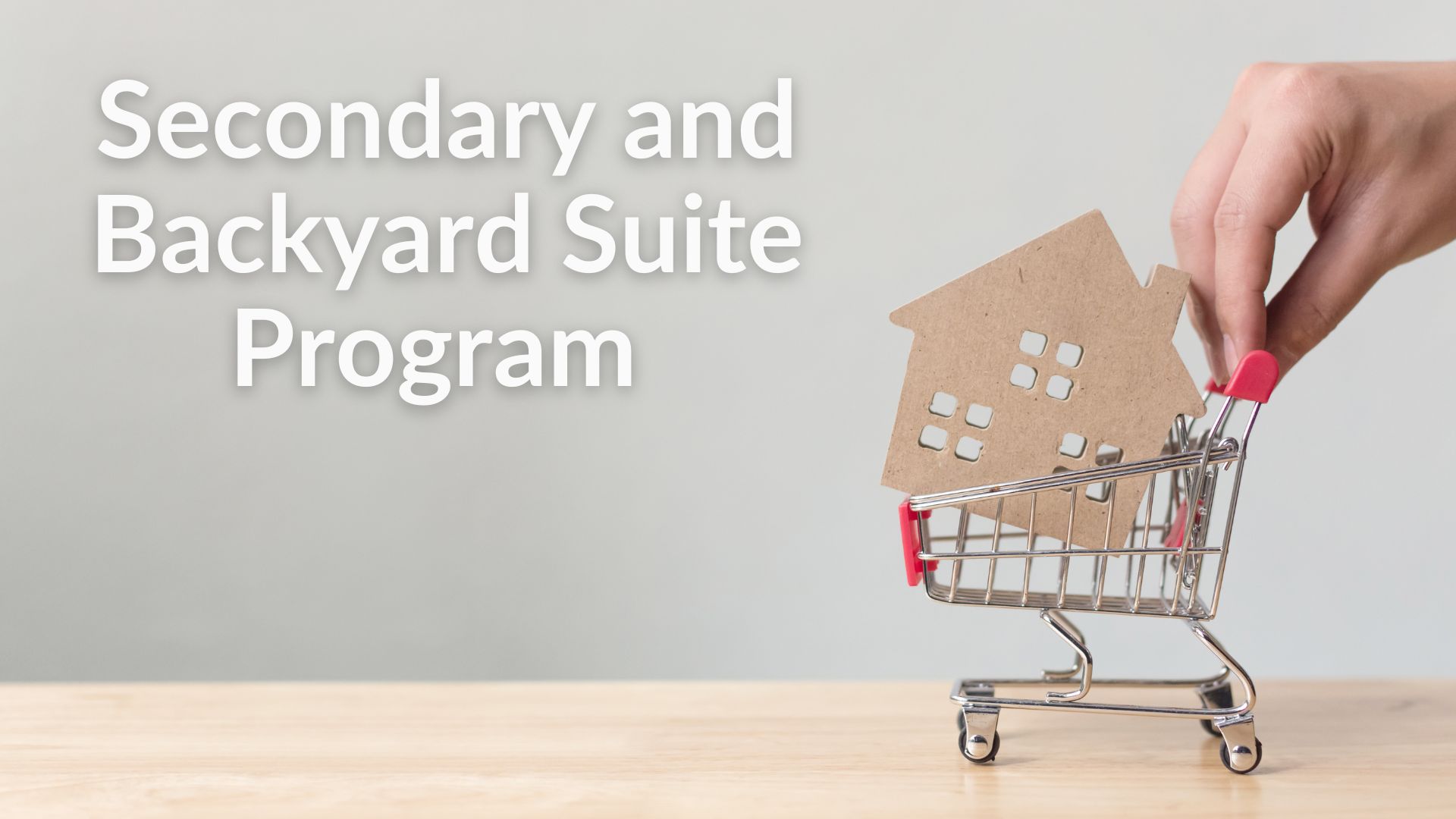 House in a shopping cart