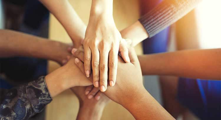 What Should You Look for In Your Real Estate Team? header image.