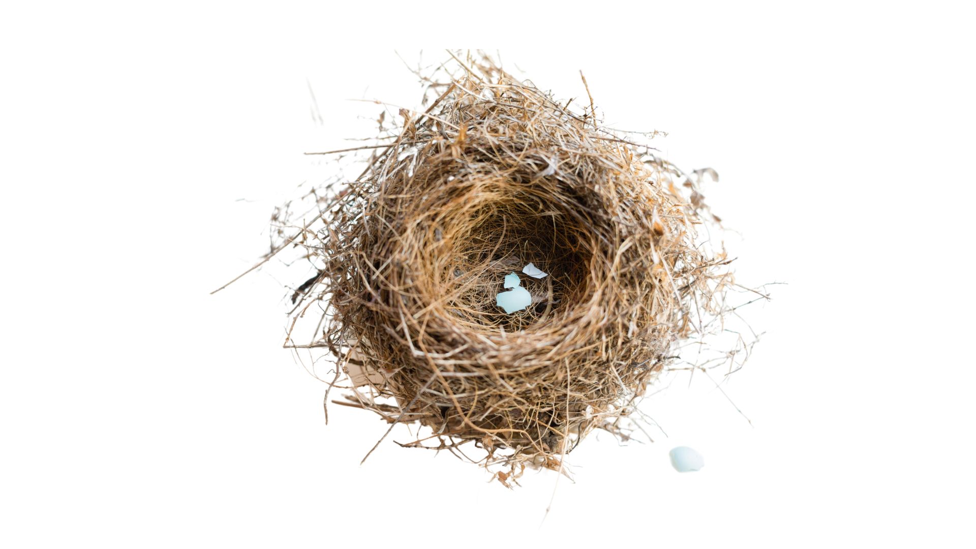 Smart Downsizing: 7 Tips for Empty Nesters Planning a Move header image.