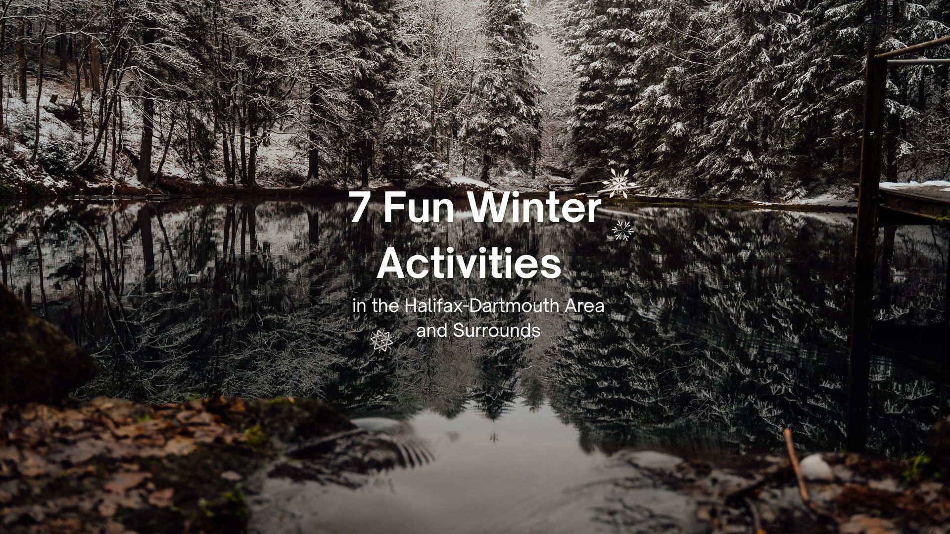 7 Fun Winter Activities in the Halifax-Dartmouth Area and Surrounds header image.