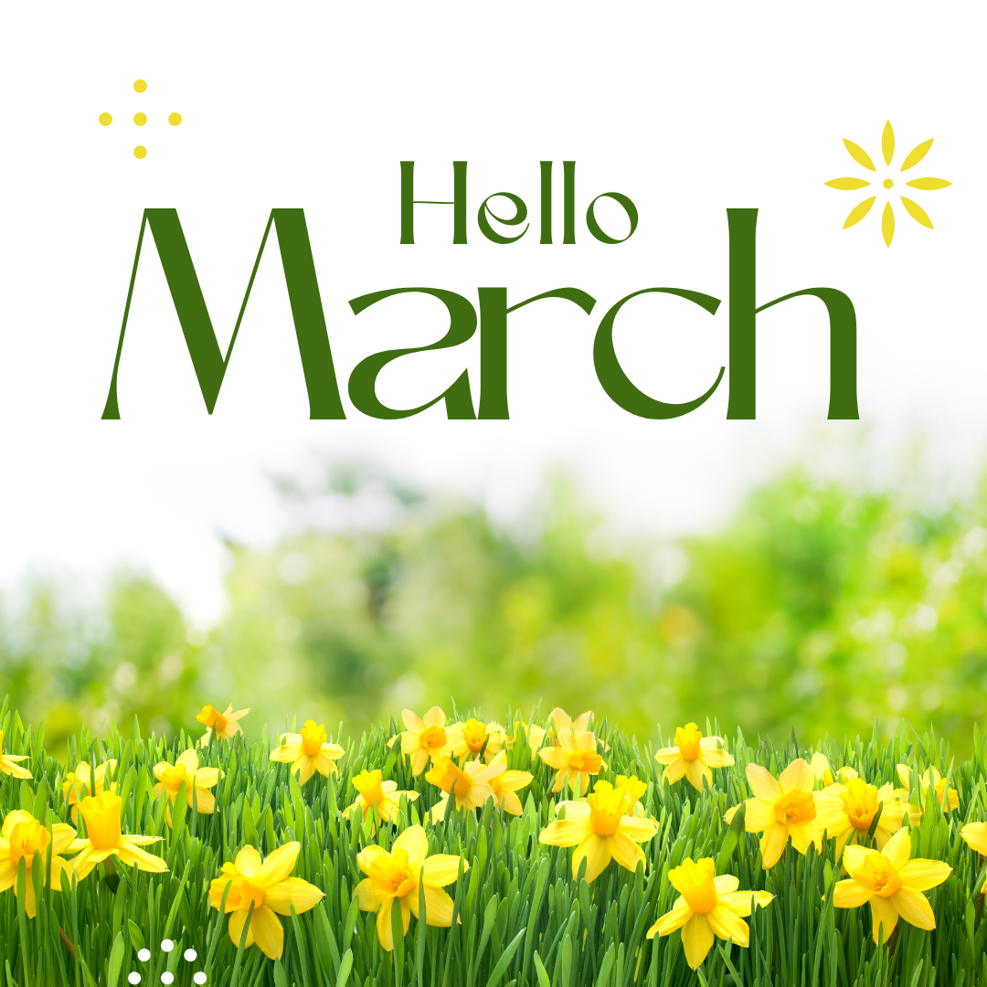 Around the Block March Edition header image.