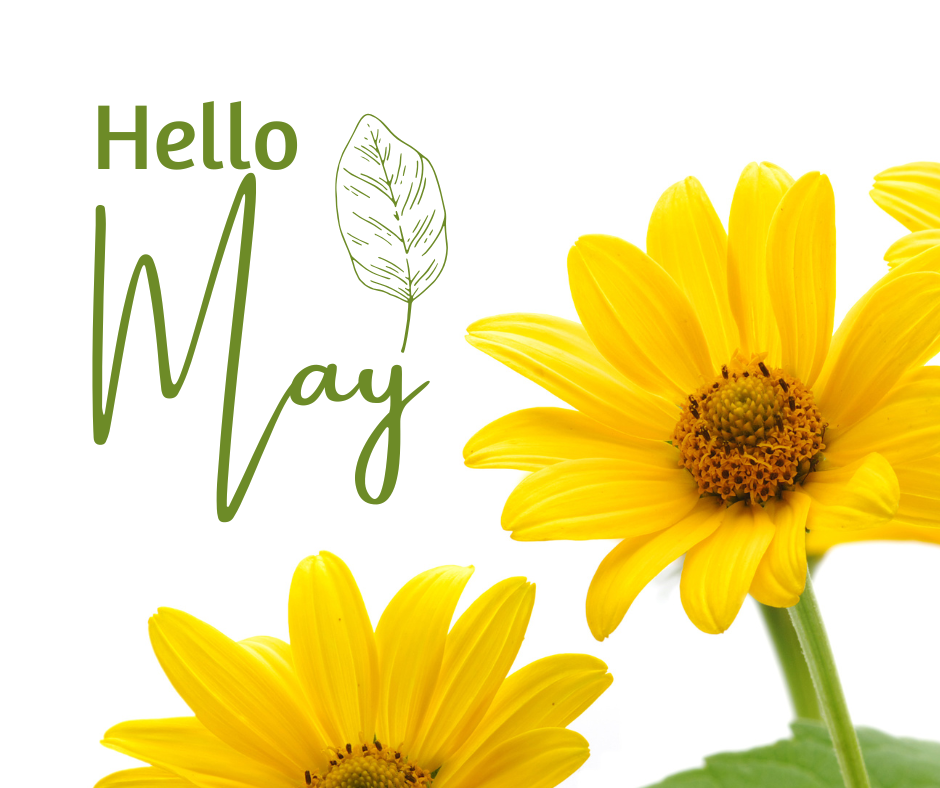 Around the Block May Edition header image.