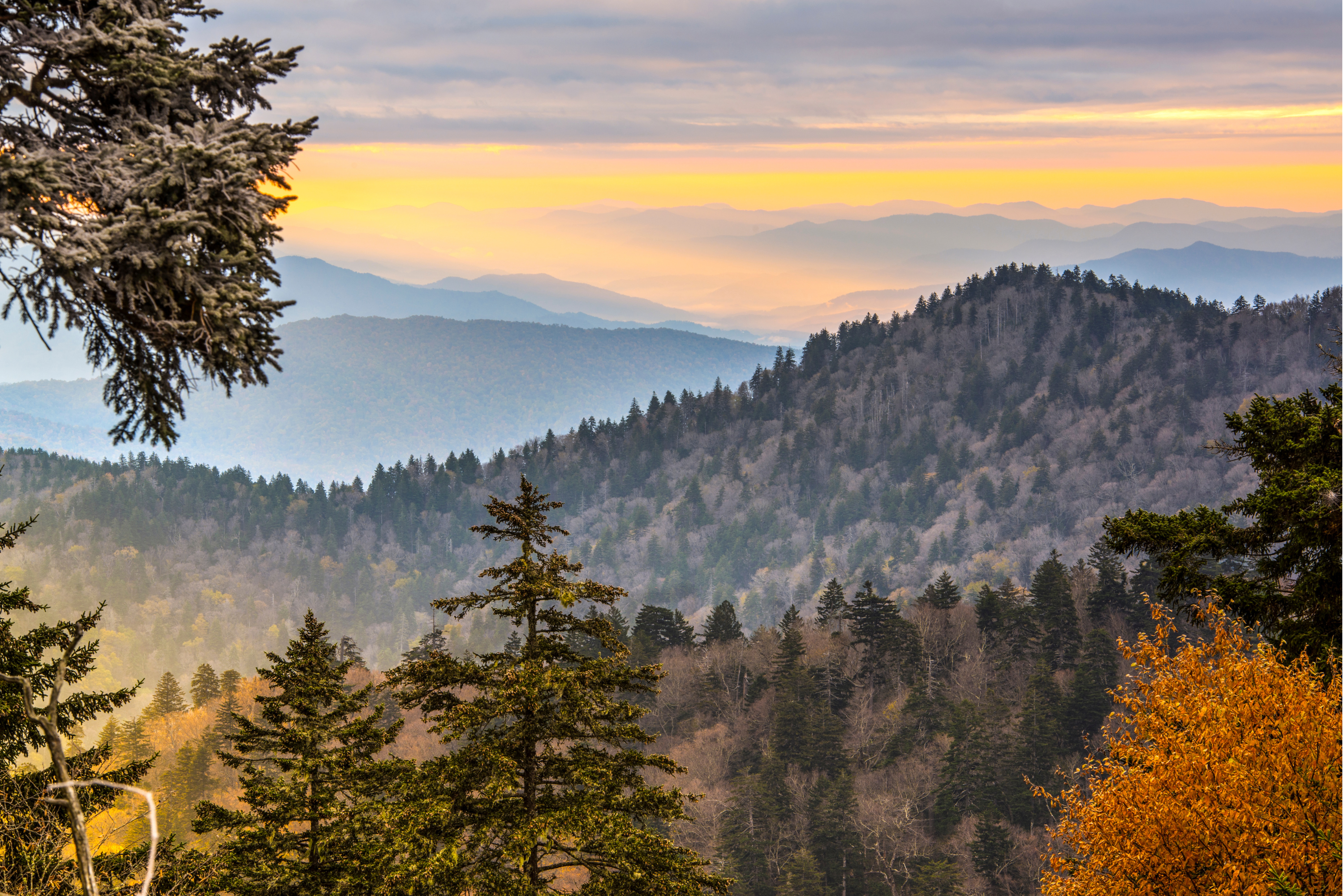 Stay Connected in Asheville: A Guide to Building Stronger Communities header image.