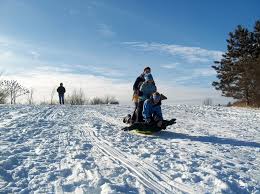 Top 5 Sledding Spots in Woodland Park CO header image.