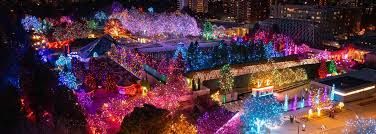 The Ultimate Guide to Denver Metro Christmas Lights - The BEST Residential Shows!! header image.