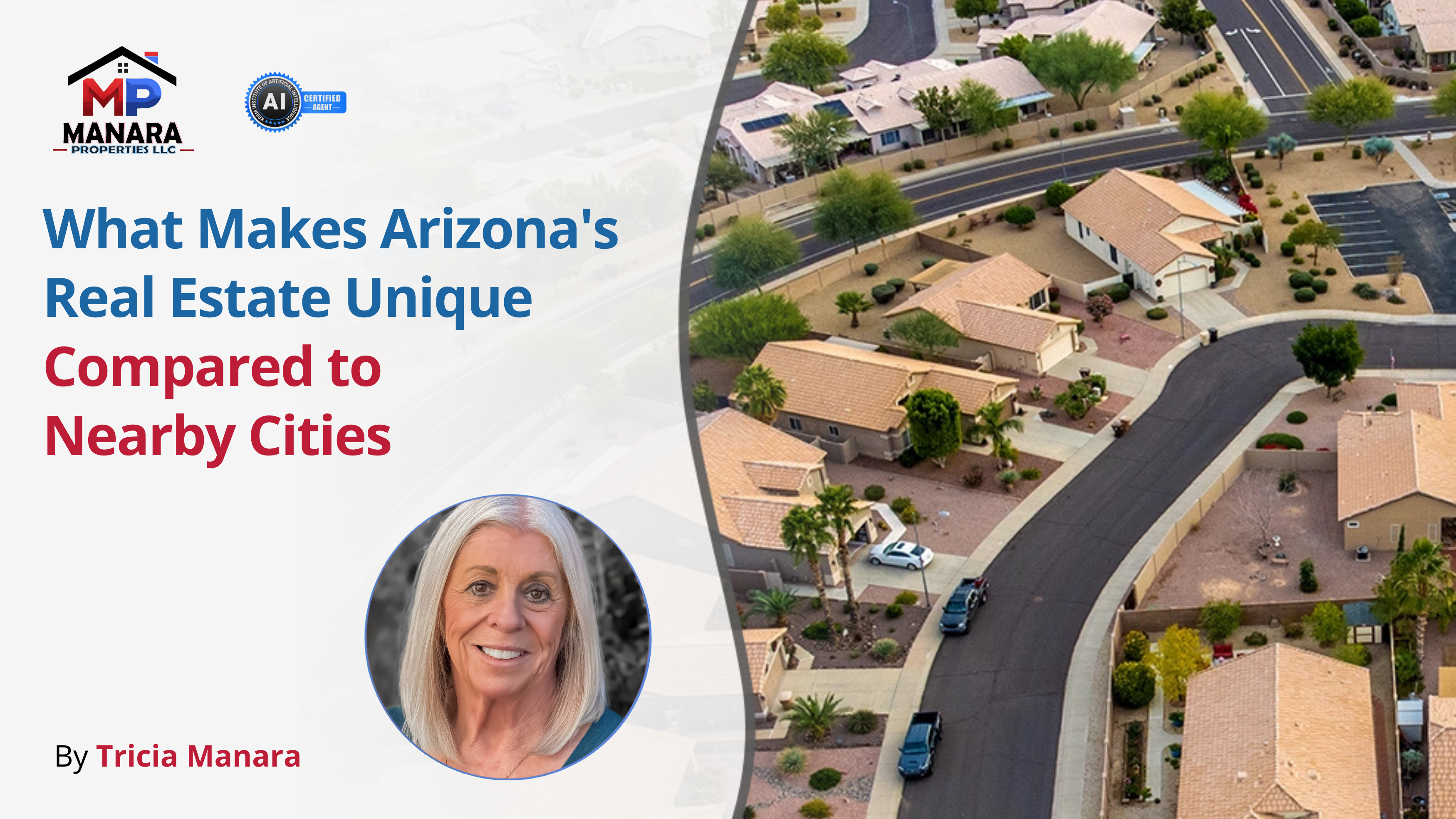 Exploring Arizona’s Real Estate Market and Its Distinct Appeal header image.