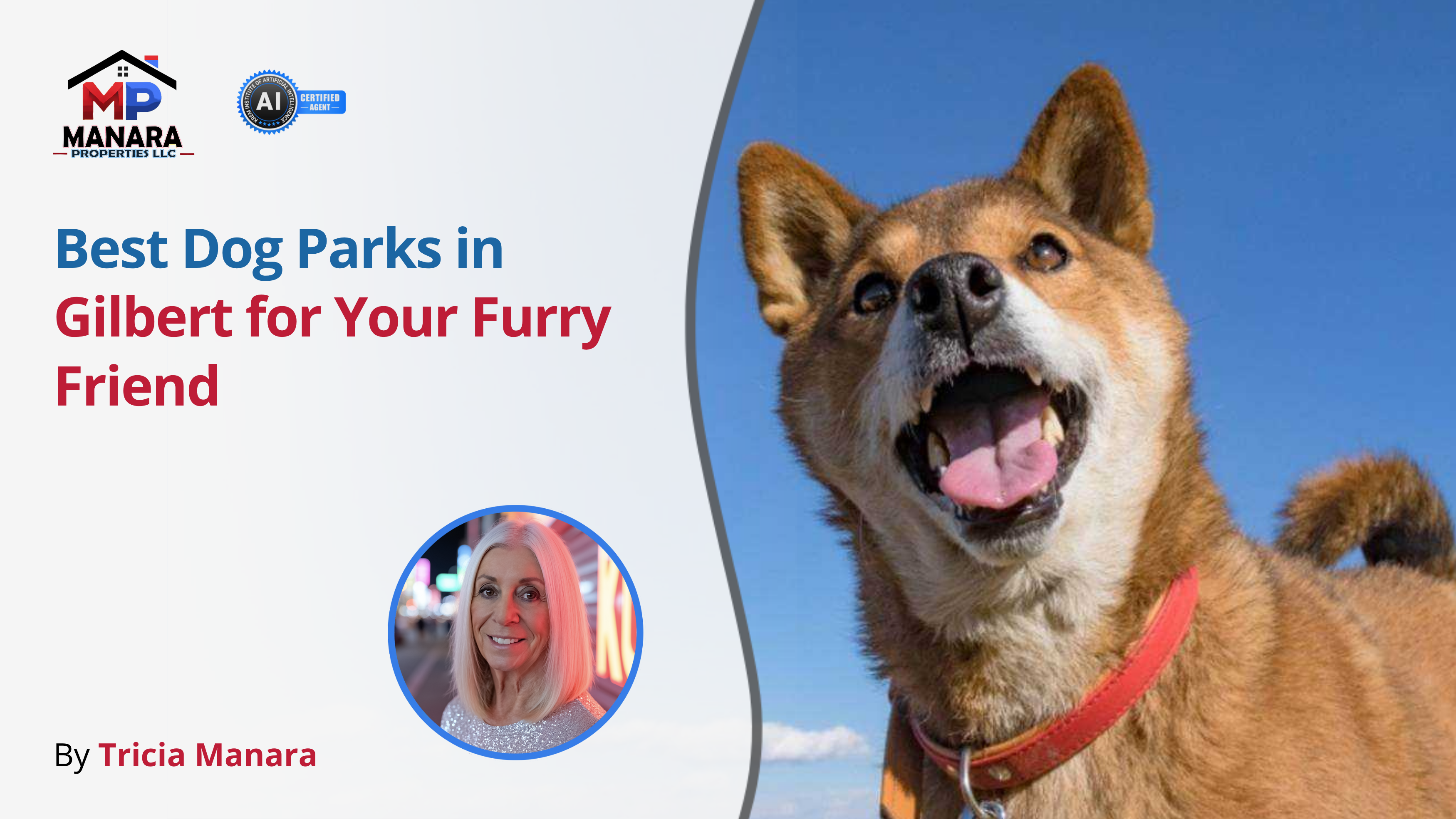 Top-Rated Dog Parks in Gilbert for a Tail-Wagging Good Time header image.