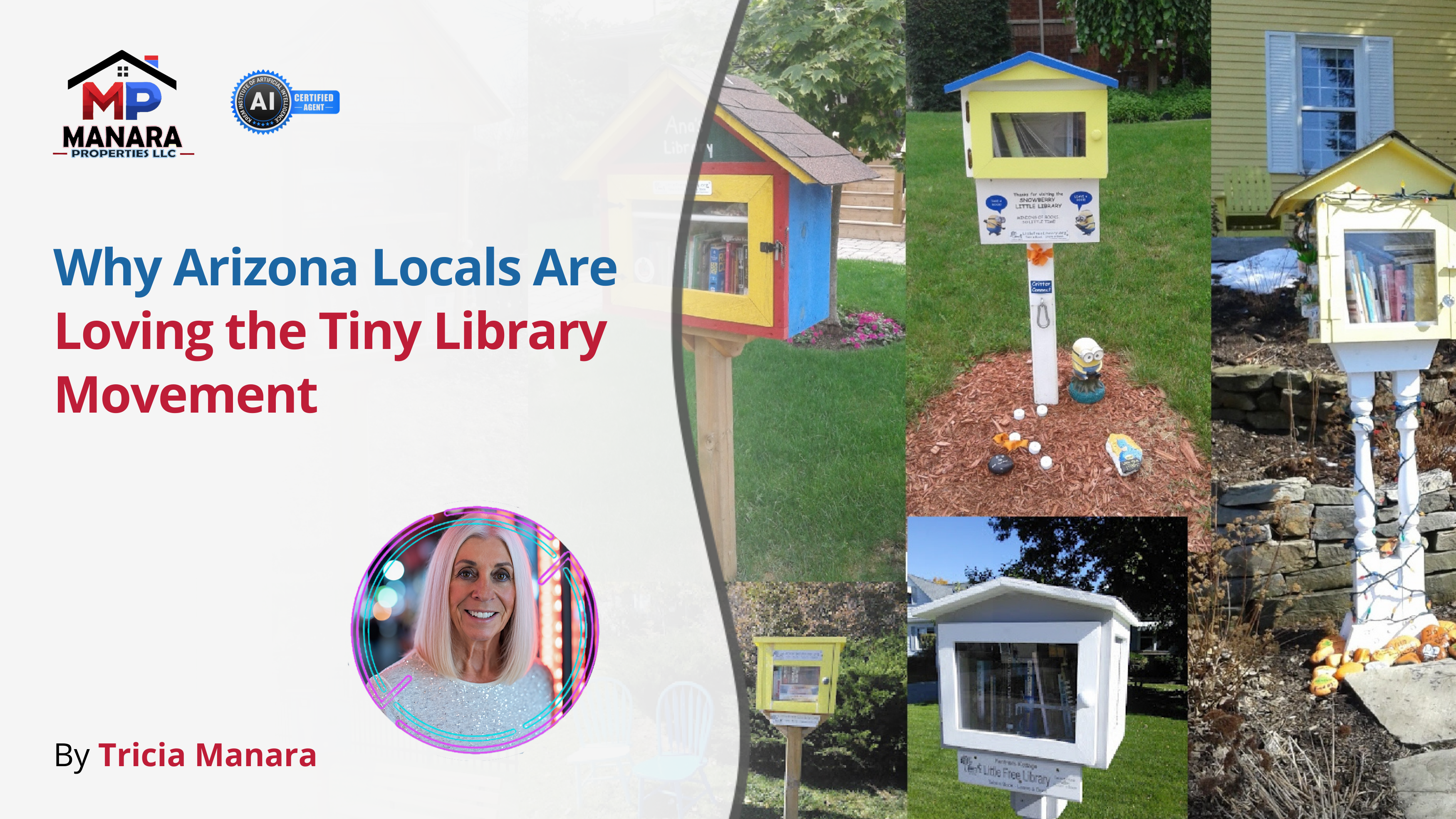 What Makes the Tiny Library Trend a Hit Among Arizona Residents header image.