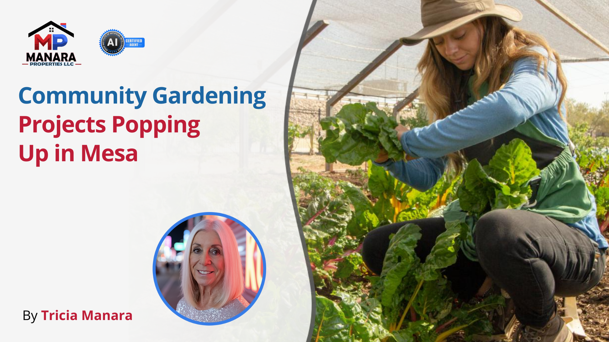 The Rise of Community Gardens in Mesa and Why It Matters header image.