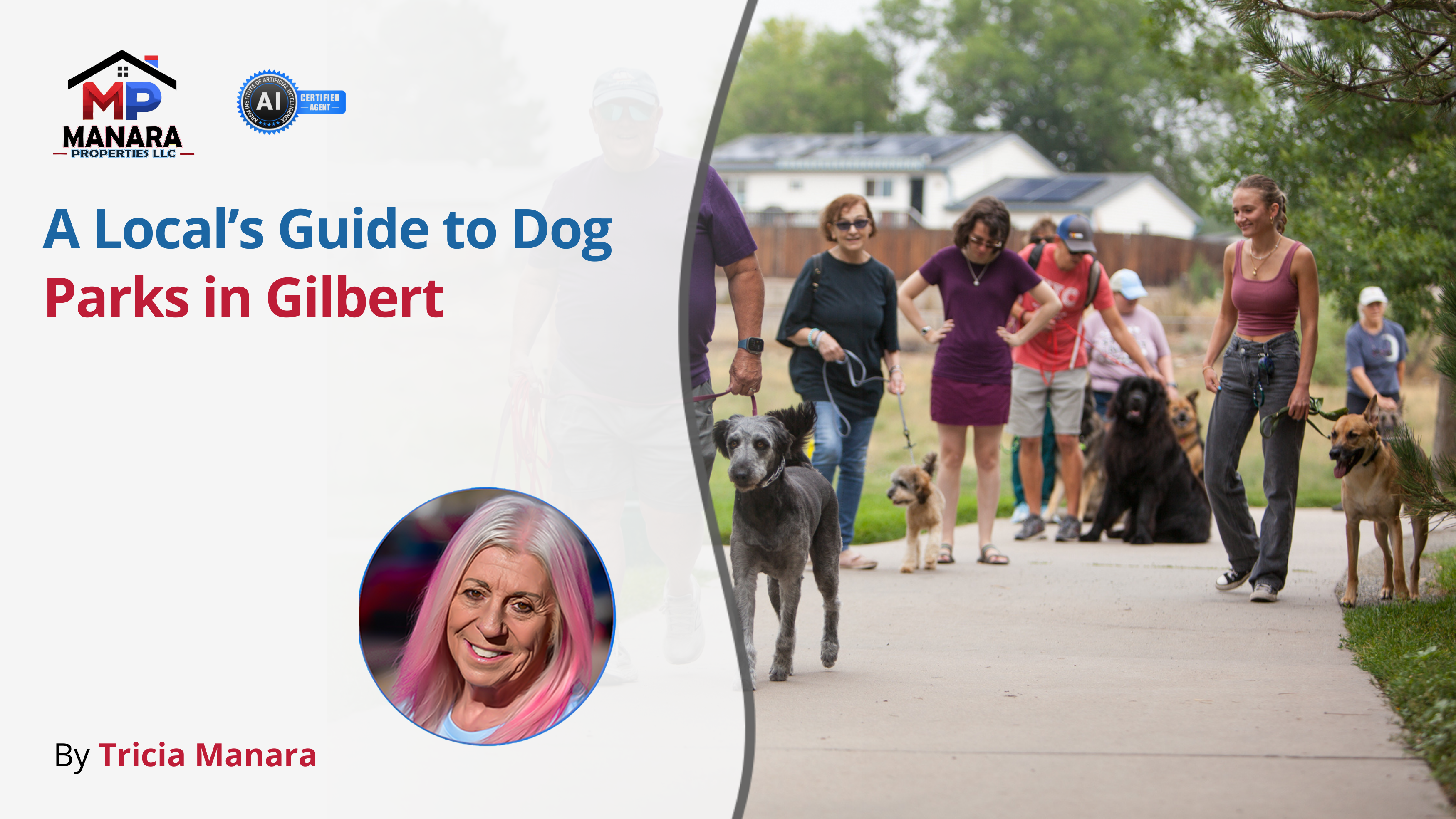 Where to Find the Top Dog Parks in Gilbert for Your Furry Friend header image.