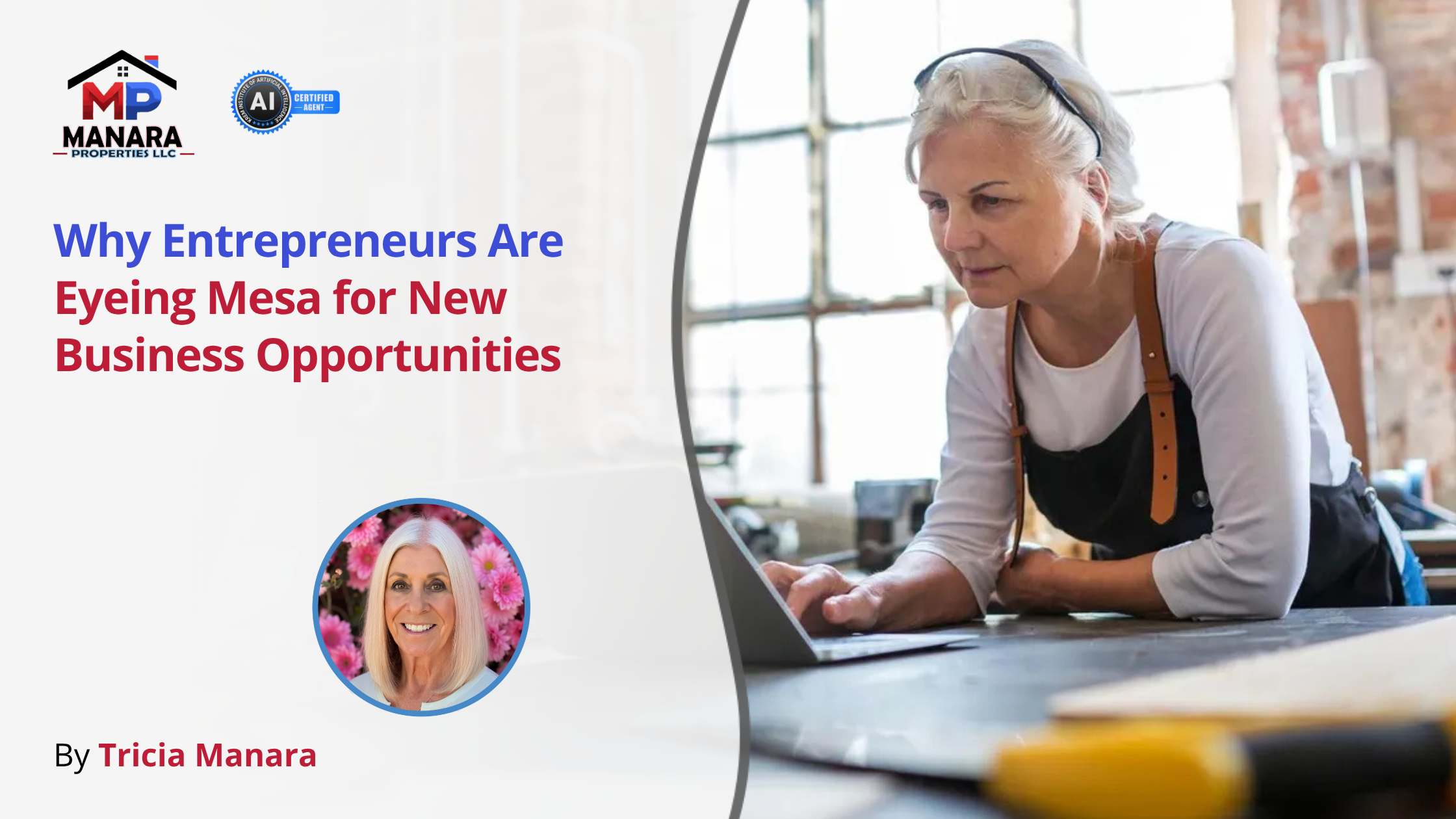 Why Entrepreneurs Are Choosing Mesa for New Business Opportunities header image.