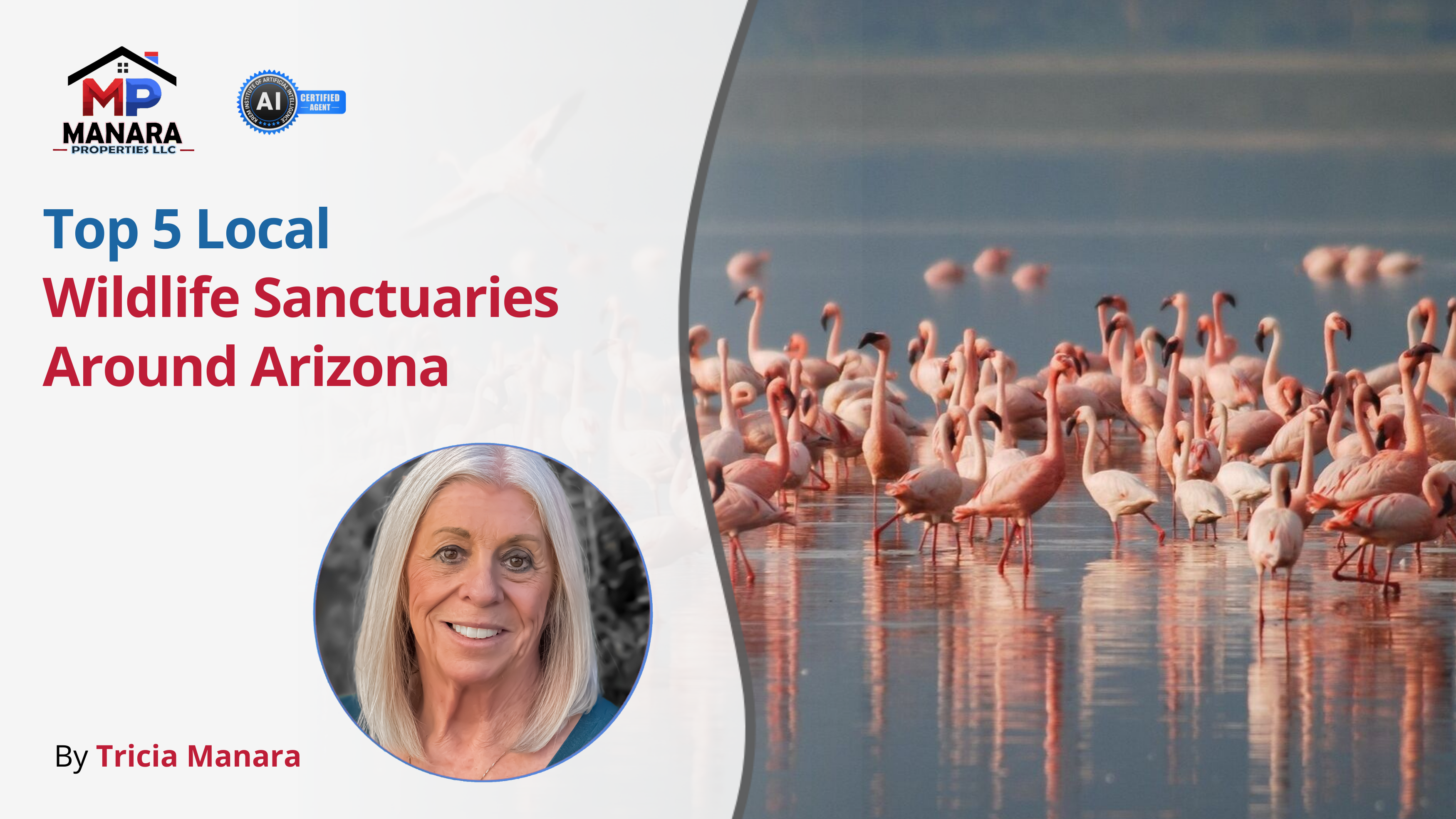 Must-Visit Wildlife Sanctuaries Around Arizona You Can’t Miss header image.