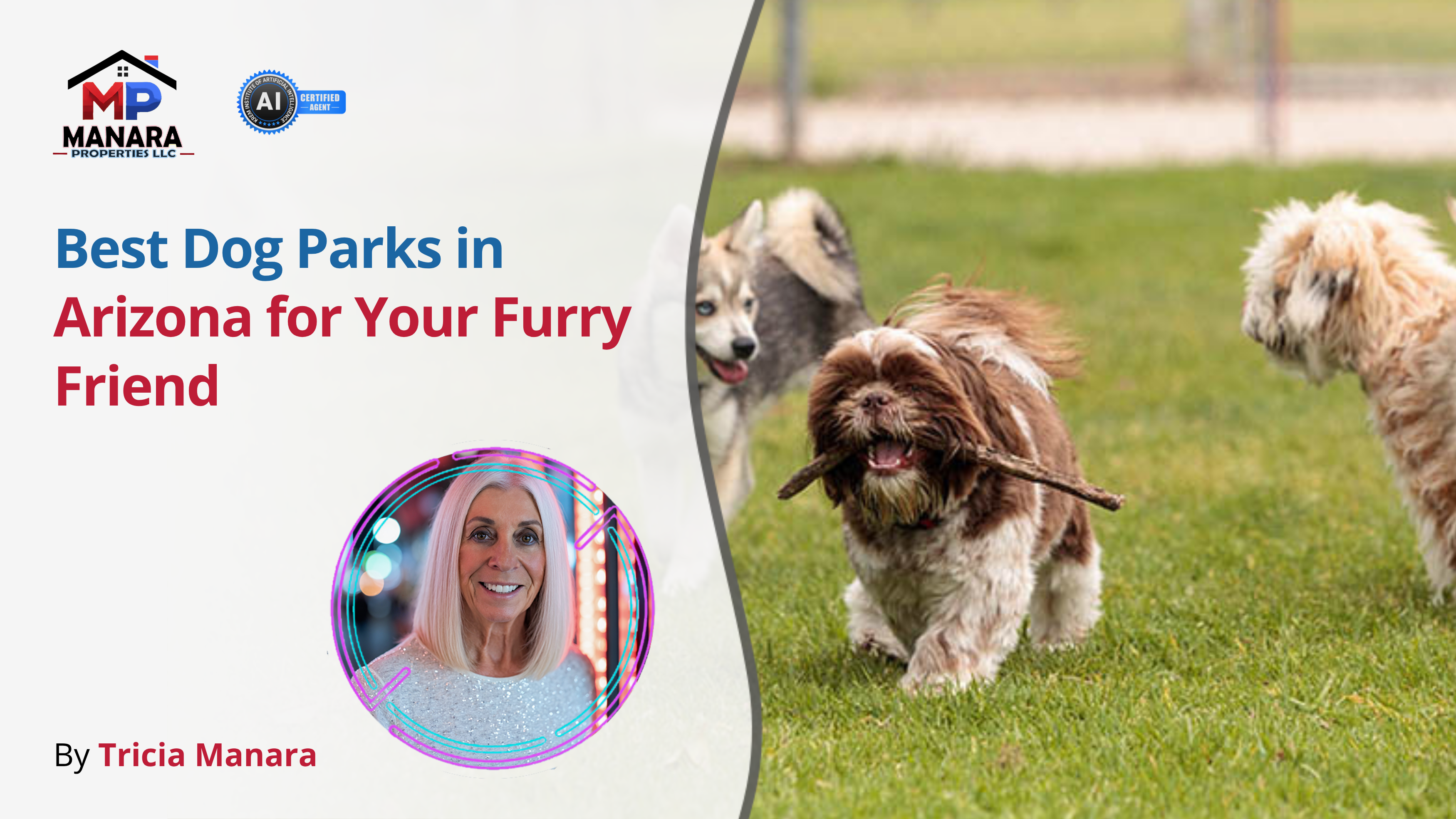 Top Arizona Dog Parks Where Your Pup Can Run Free header image.