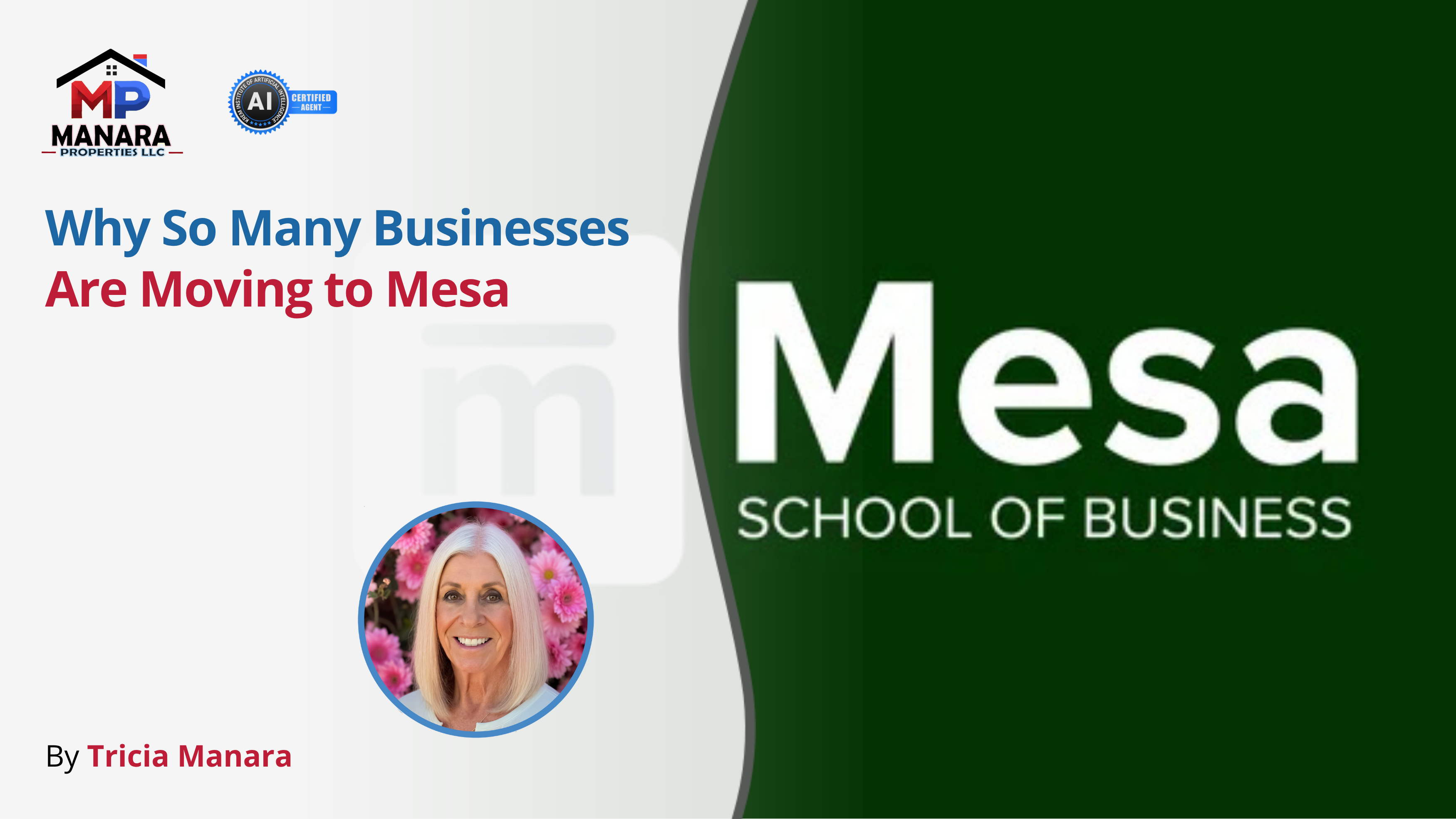 What Makes Mesa a Hotspot for Business Relocation header image.