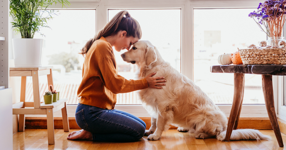Home Buying with Pets in Mind: Creating a Pet-Friendly Space for Your Furry Friends header image.