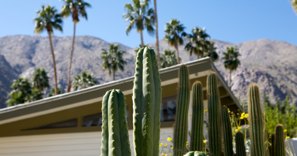 Desert Dreaming: The Best Arizona Cities for Real Estate Investment header image.