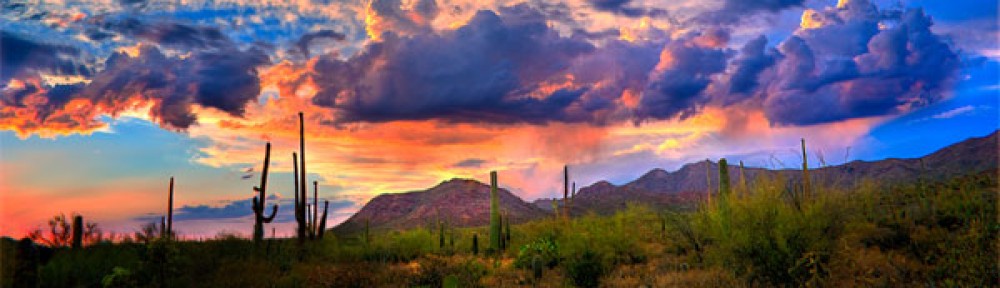 5 Pro Tips For Getting Your Space Summer Ready header image.