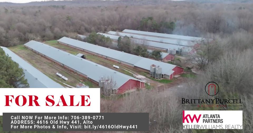 JUST REDUCED: Banks County Working Poultry Farm! header image.