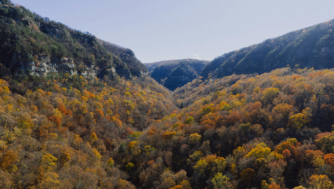 Buying Land in North Georgia: 6 Things to Know First header image.