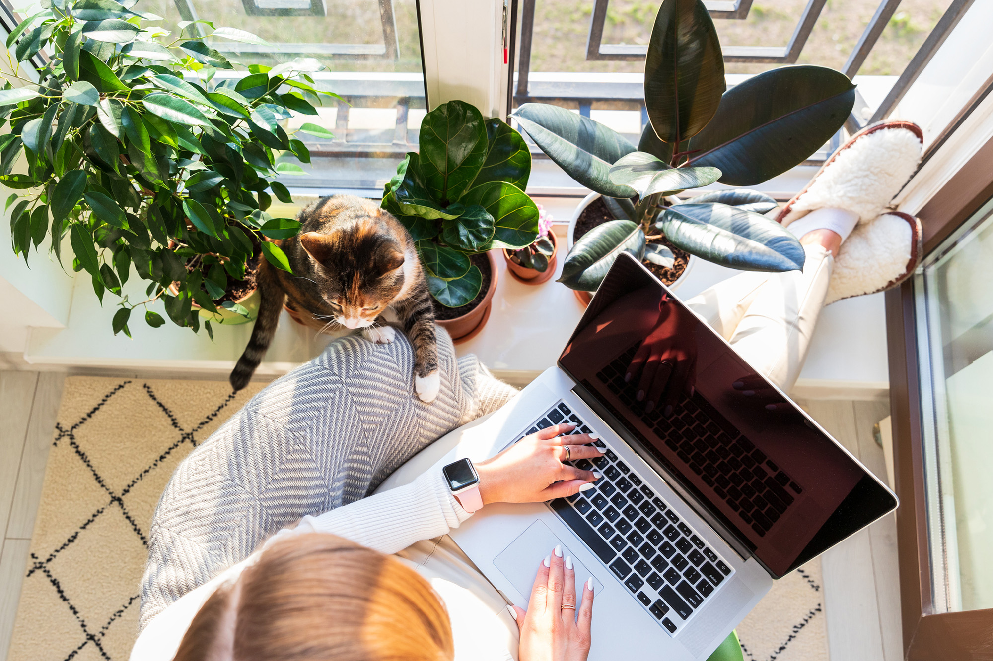 Woman using laptop with cat