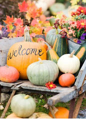 Homes for Sale in Northeast GA: Fall Curb Appeal Tips header image.