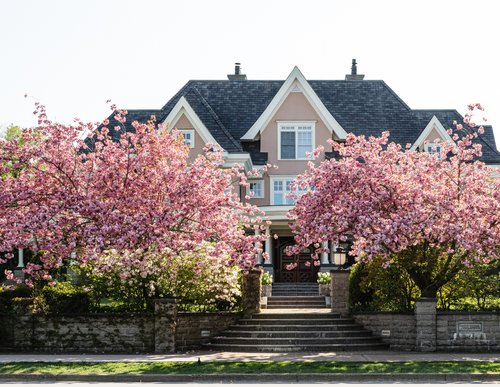 Why Spring Is the Best Time to Sell Your Home header image.