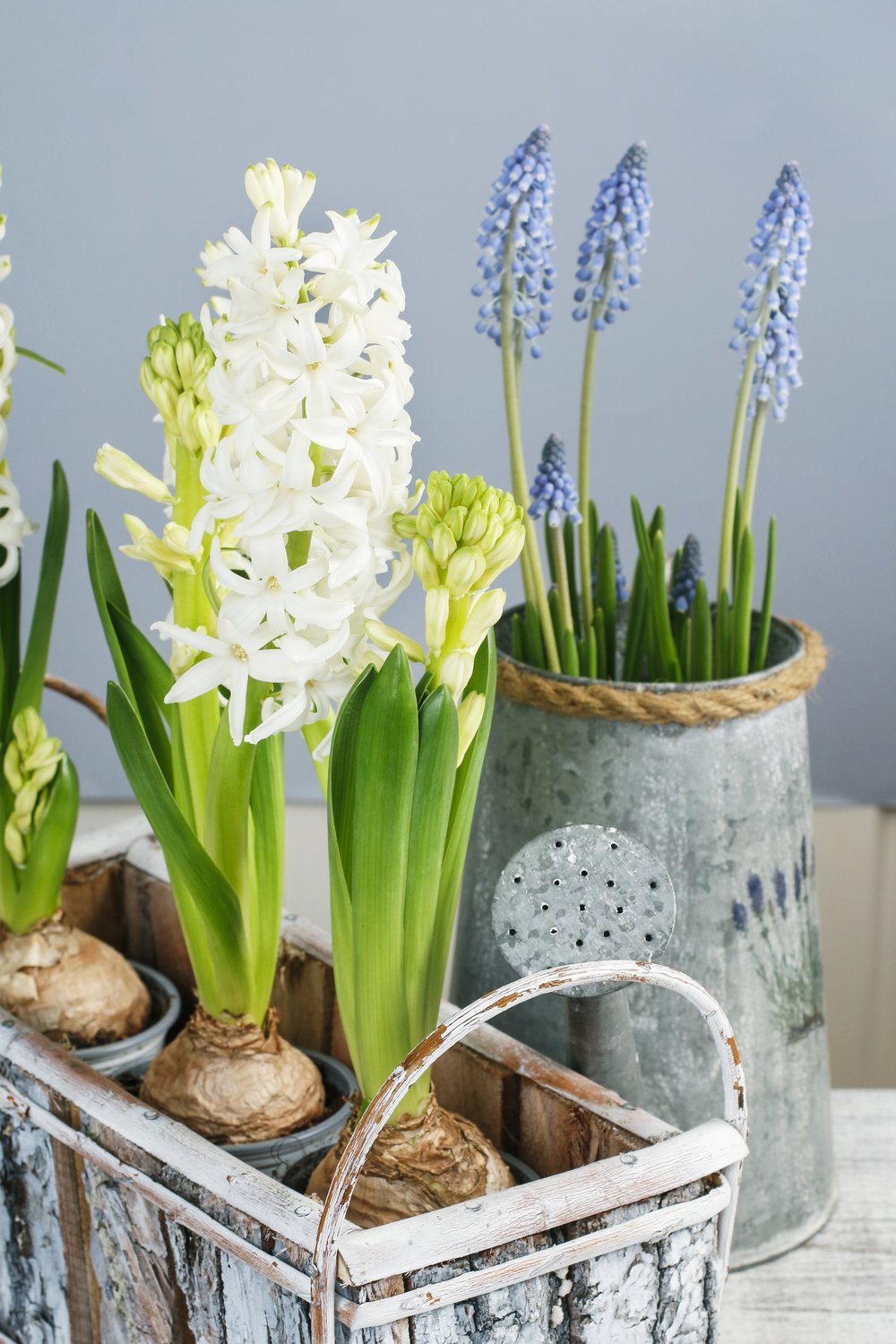 ADD A SPRING TOUCH TO YOUR HOME header image.