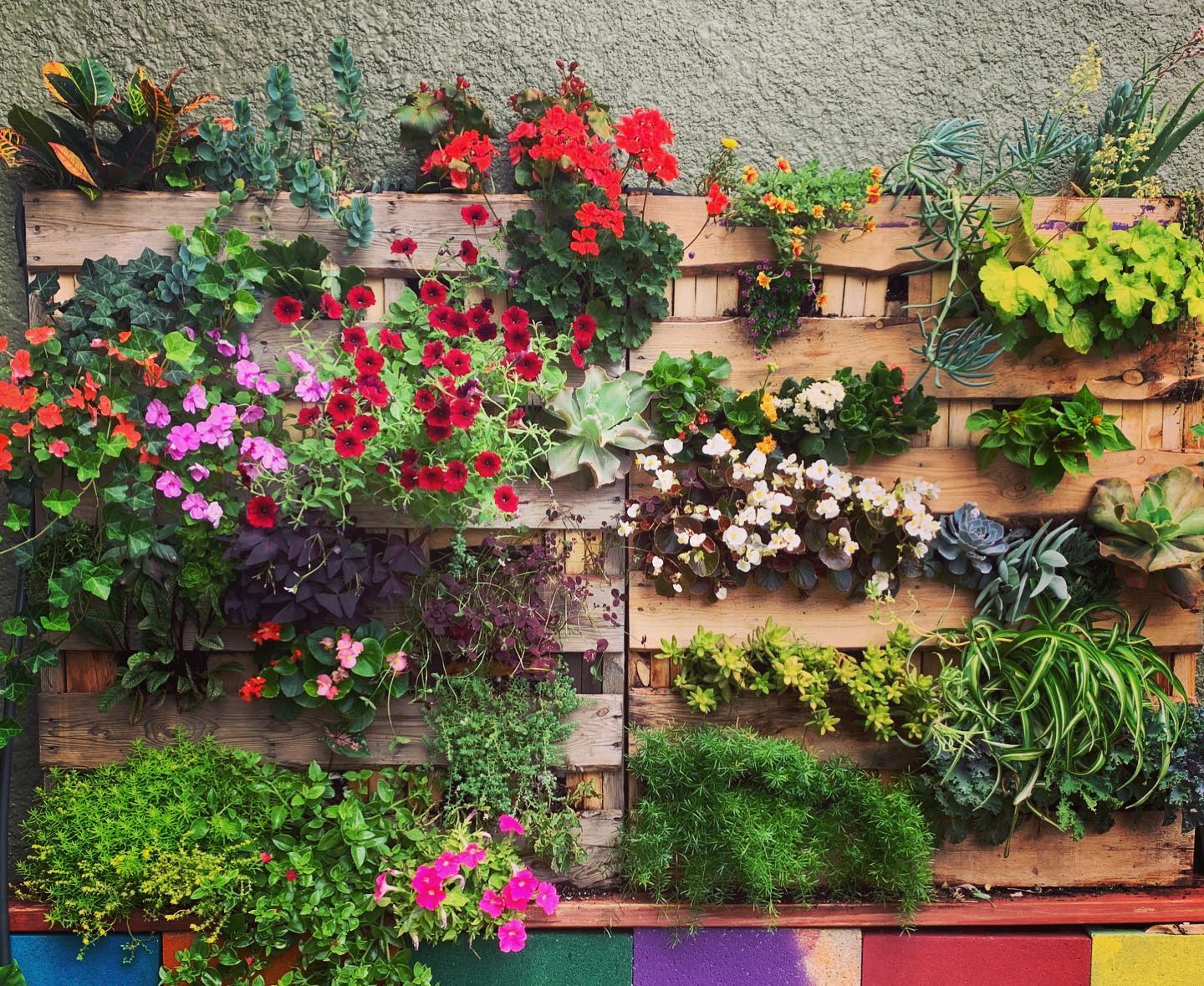 Square Root Weekly Beat header image.