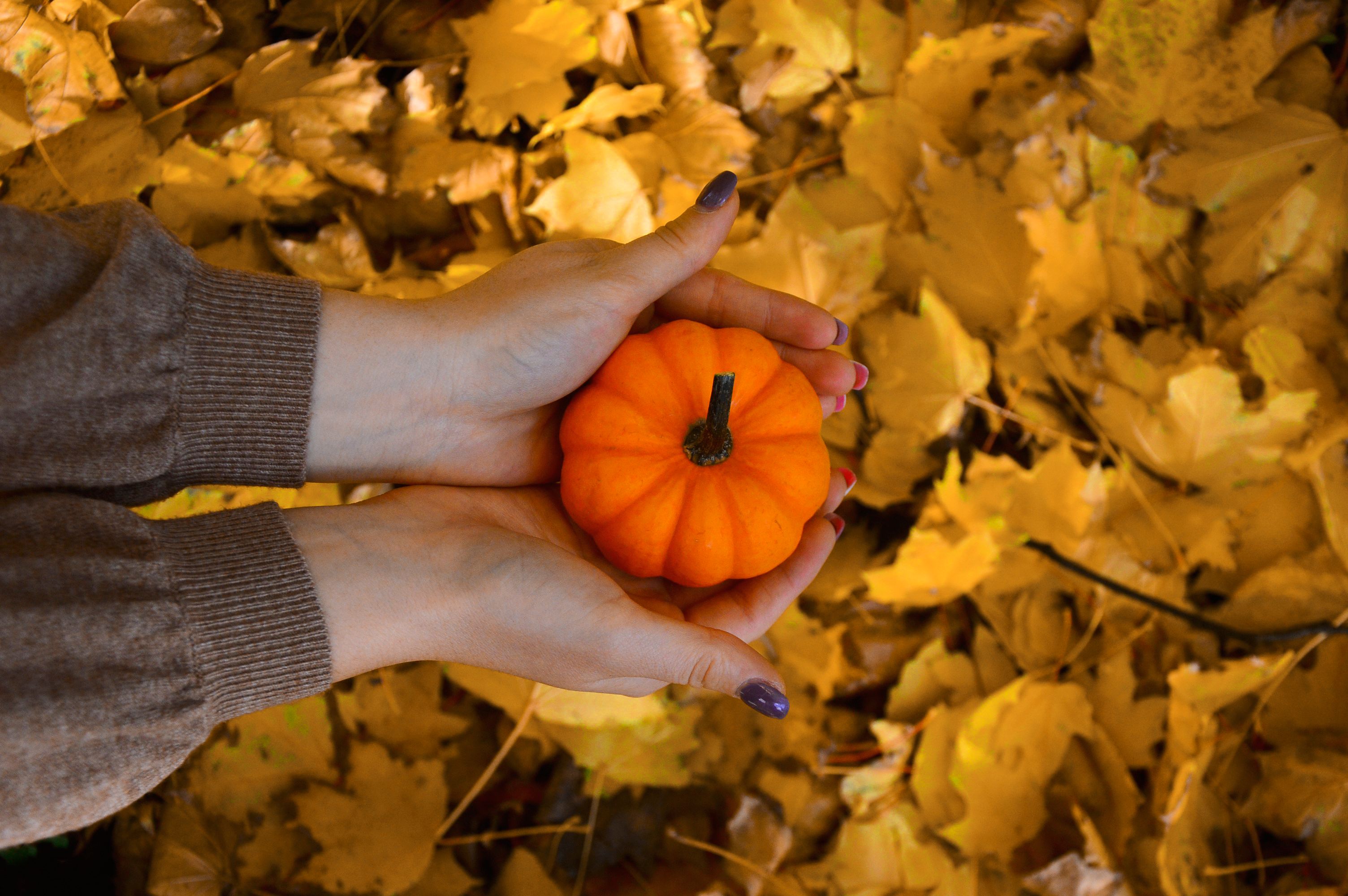 October 2024 Real Estate News header image.