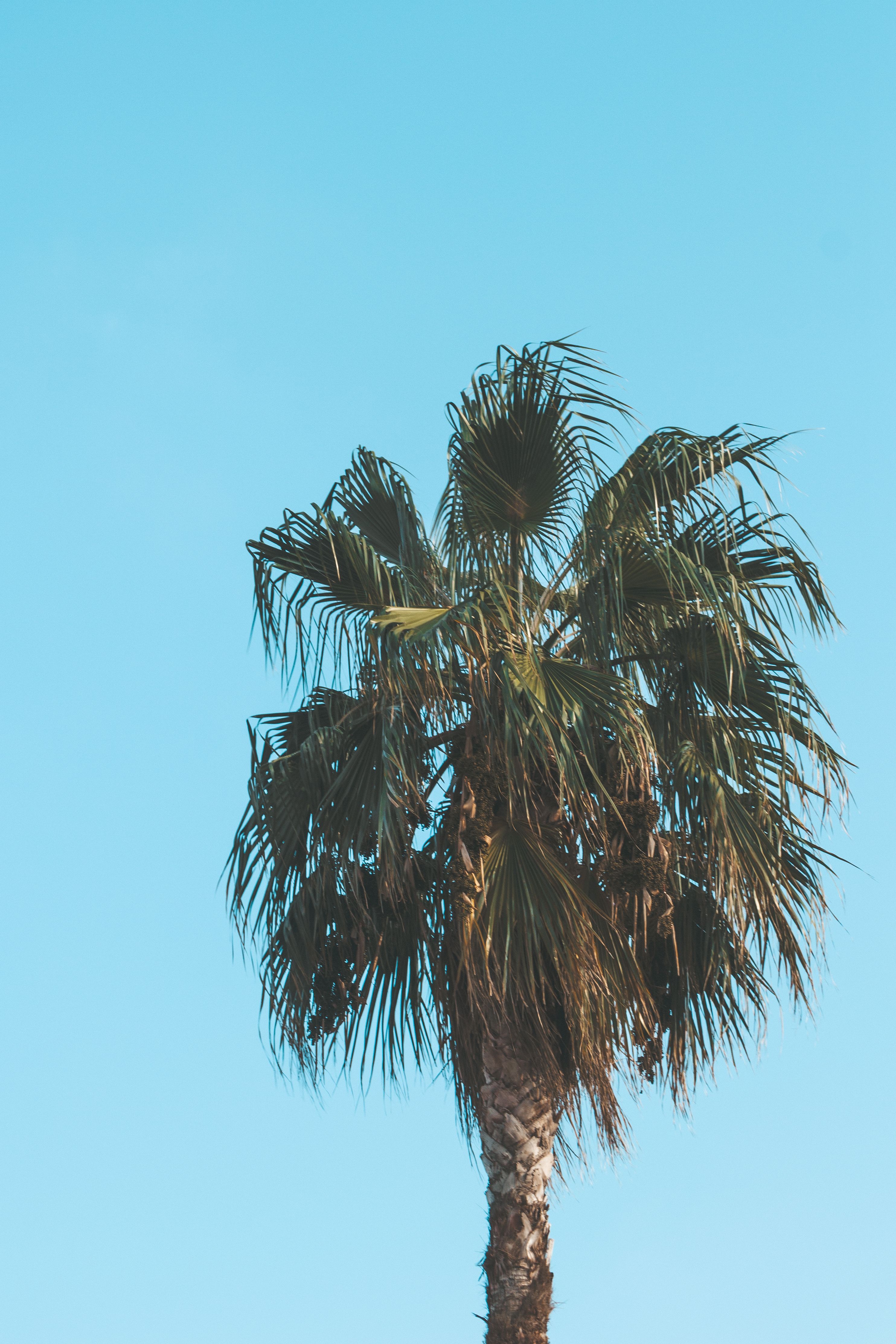 Why San Luis Obispo County Has One of the Top 5 Climates in the United States header image.