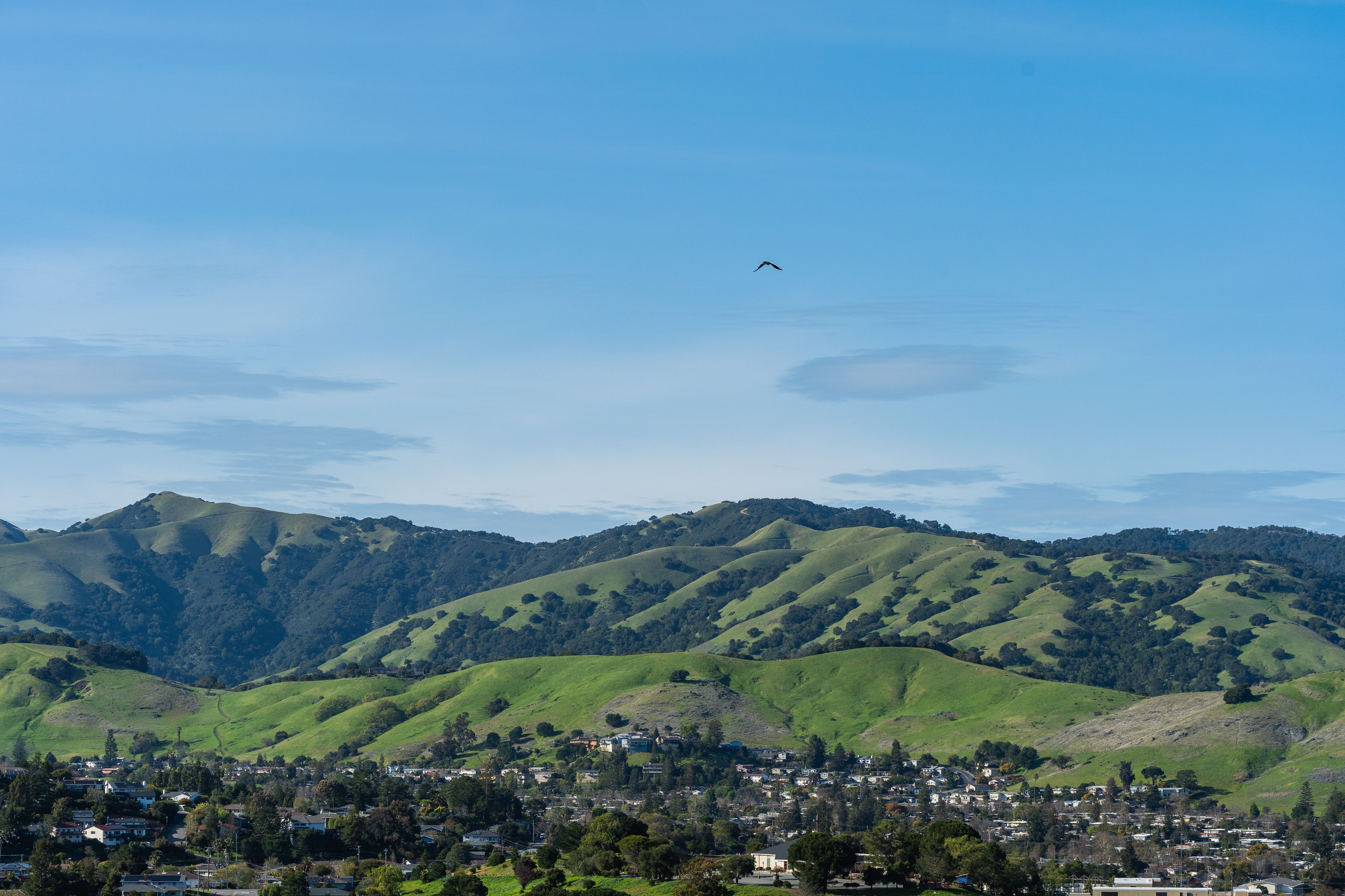 SLO County City by City Market Data | May 2026 header image.