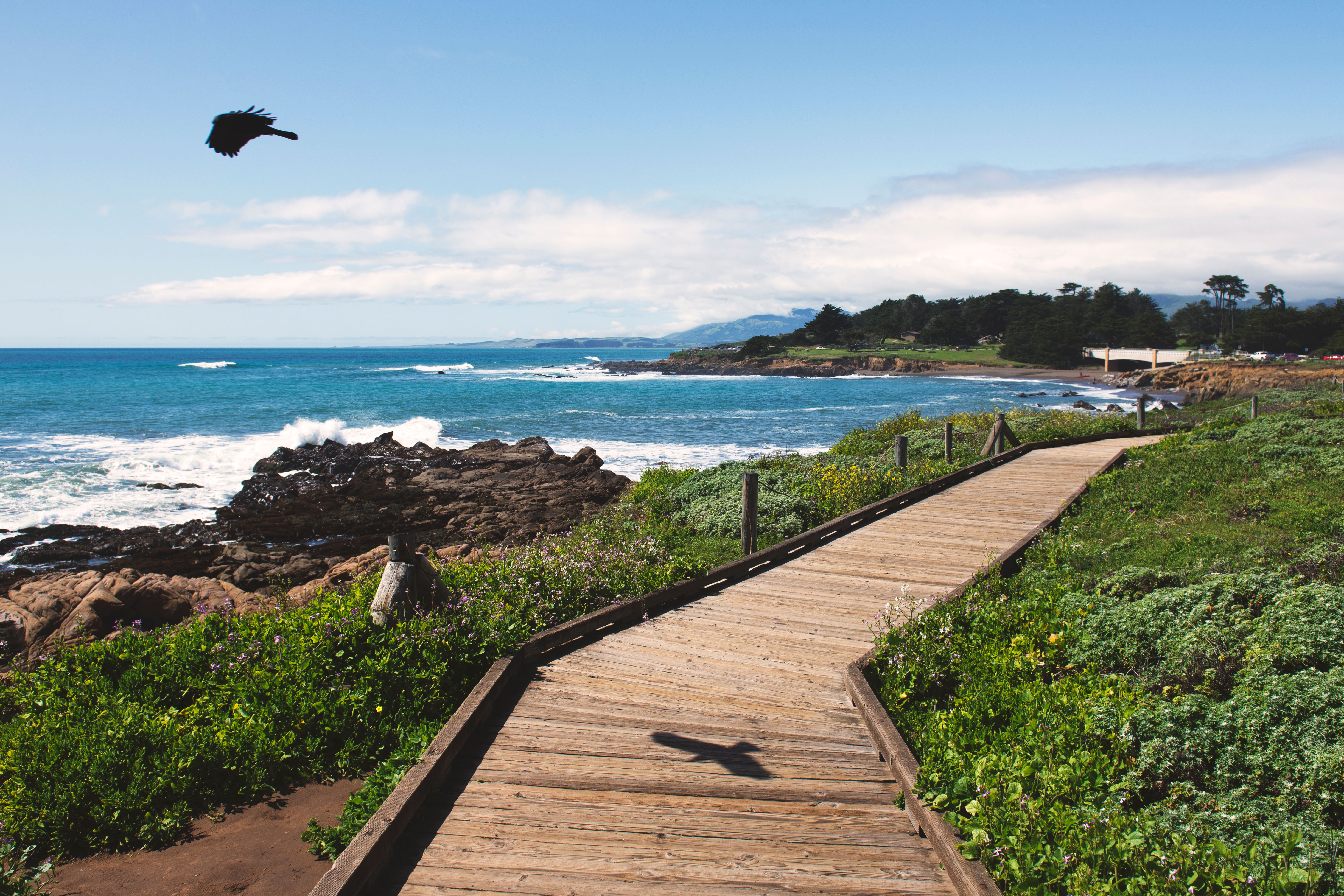 SLO County City by City Real Estate Update | June 2026 header image.