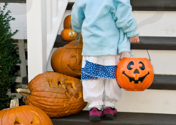 Trick or treat in Charlotte