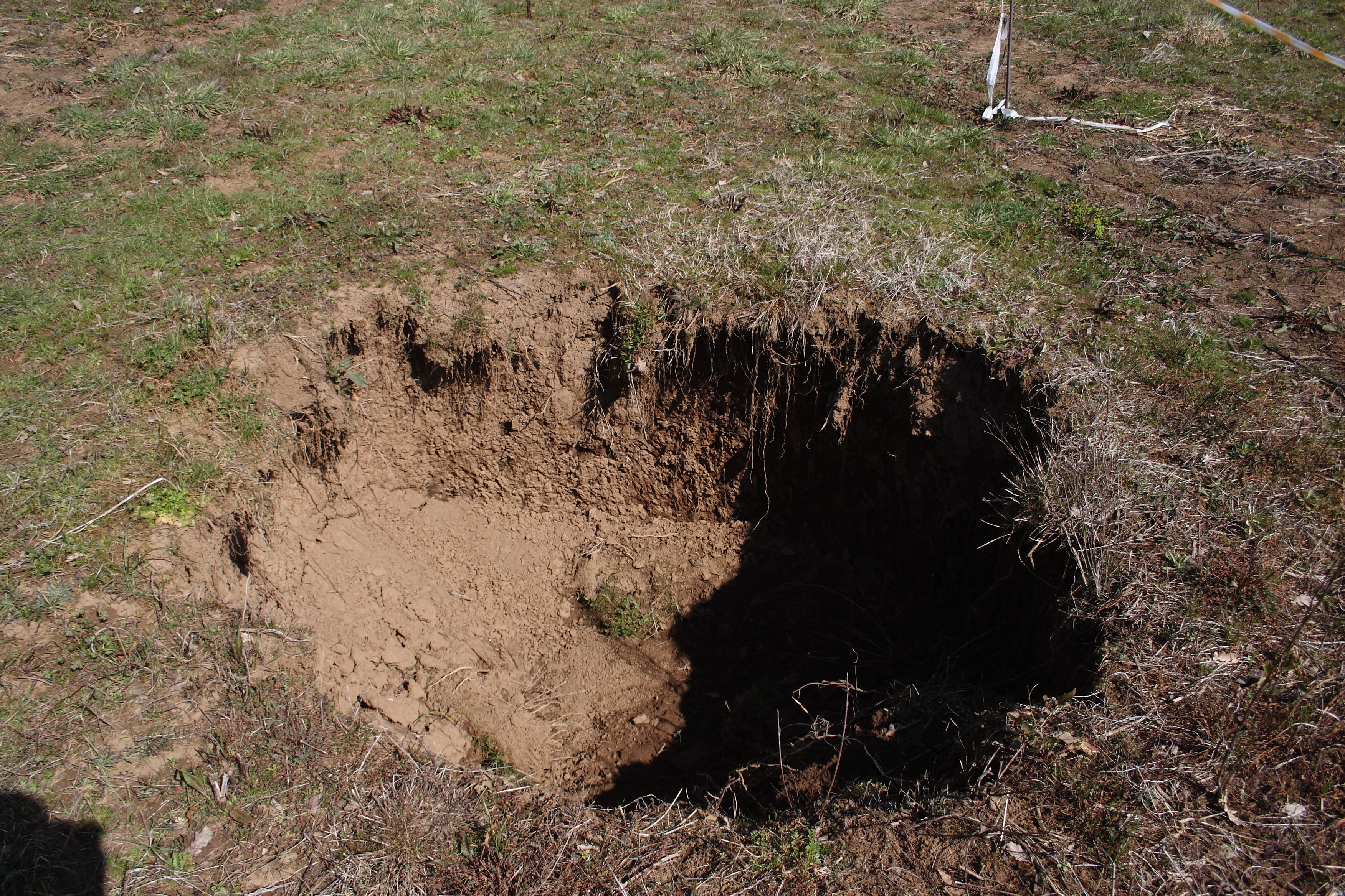 sink hole in backyard