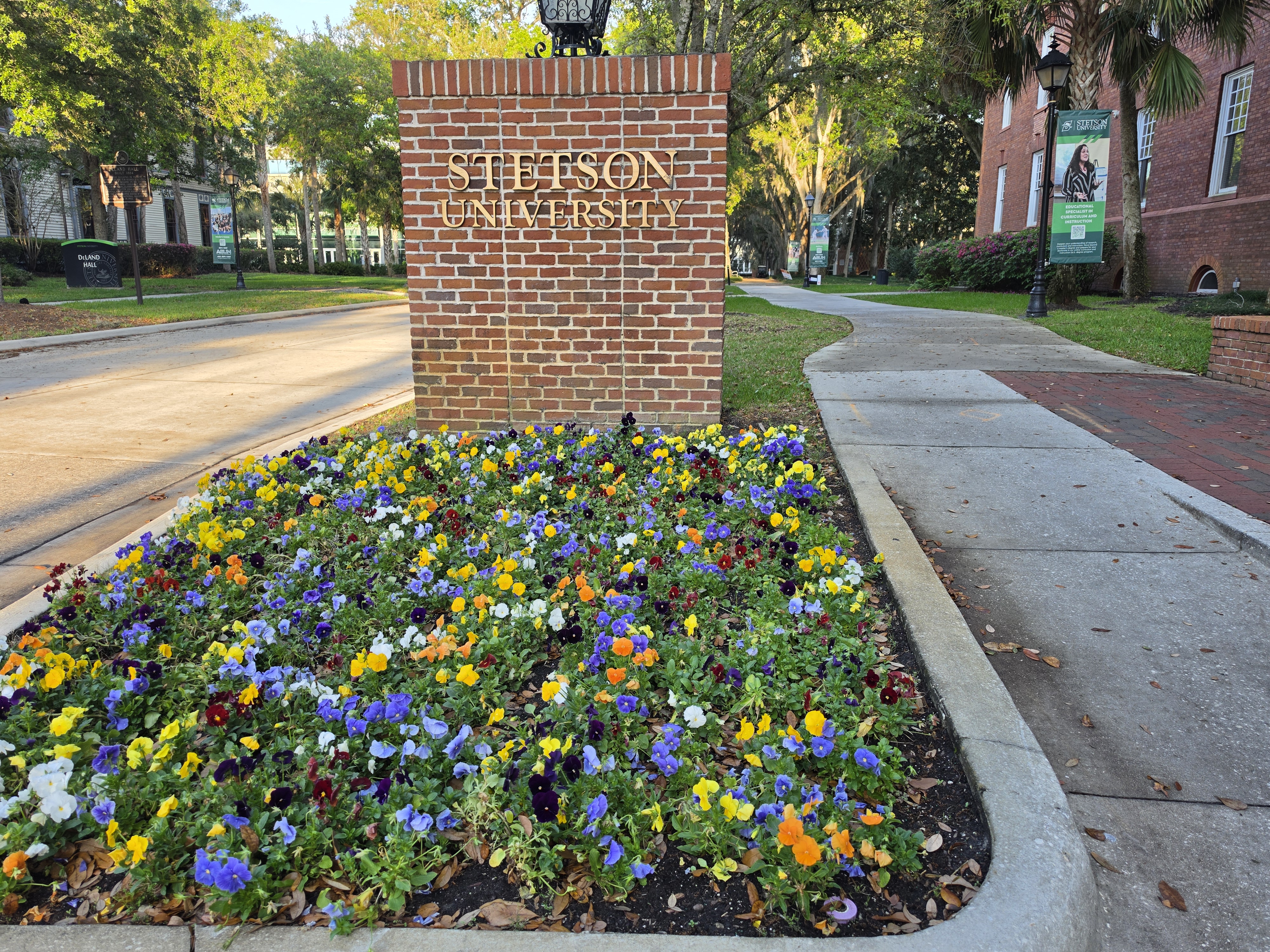 Investing in DeLand: The Value of Residential Property Near Stetson University header image.
