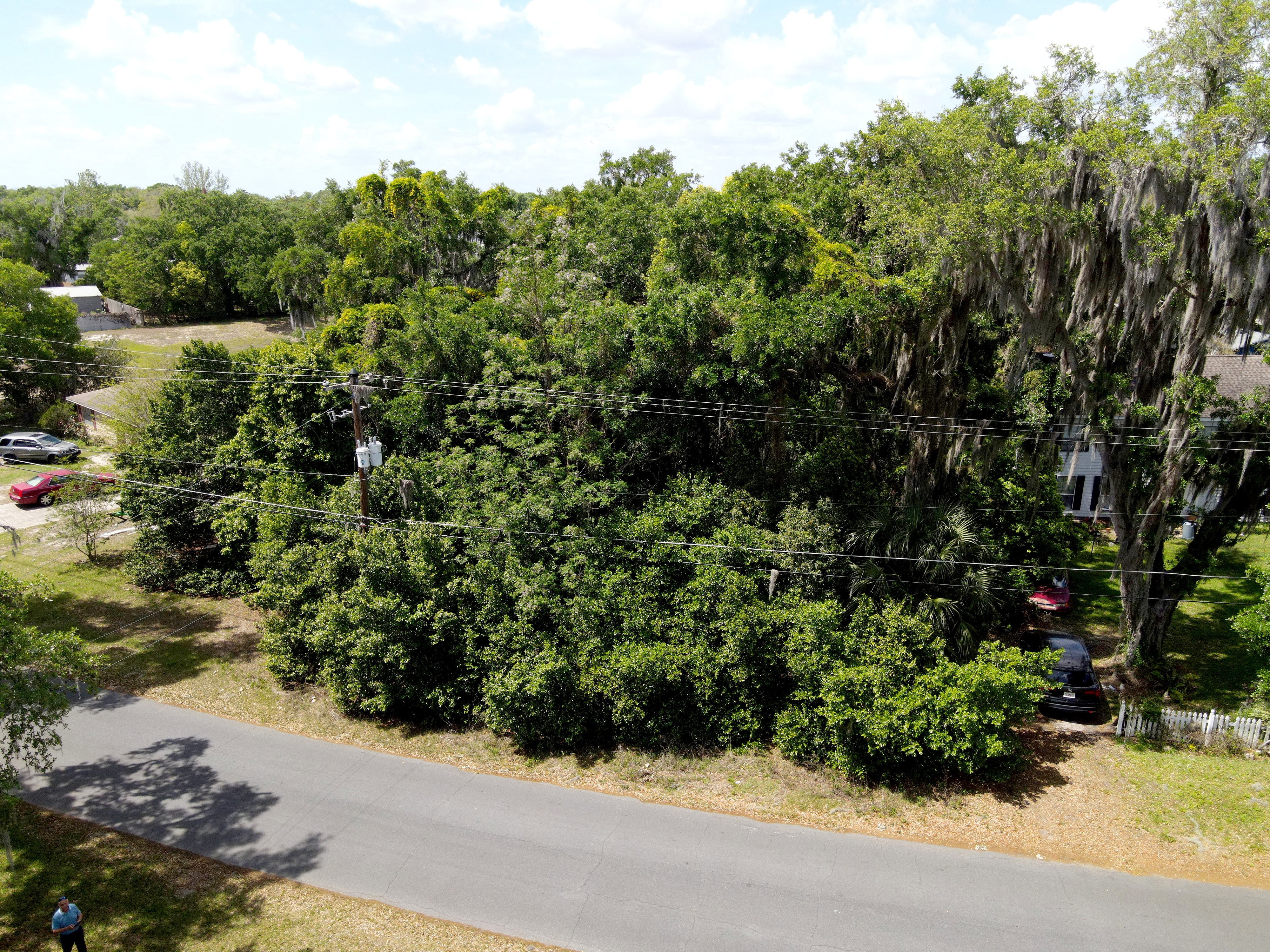 Investing in Raw Land in Orlando: Is It Right for You? header image.