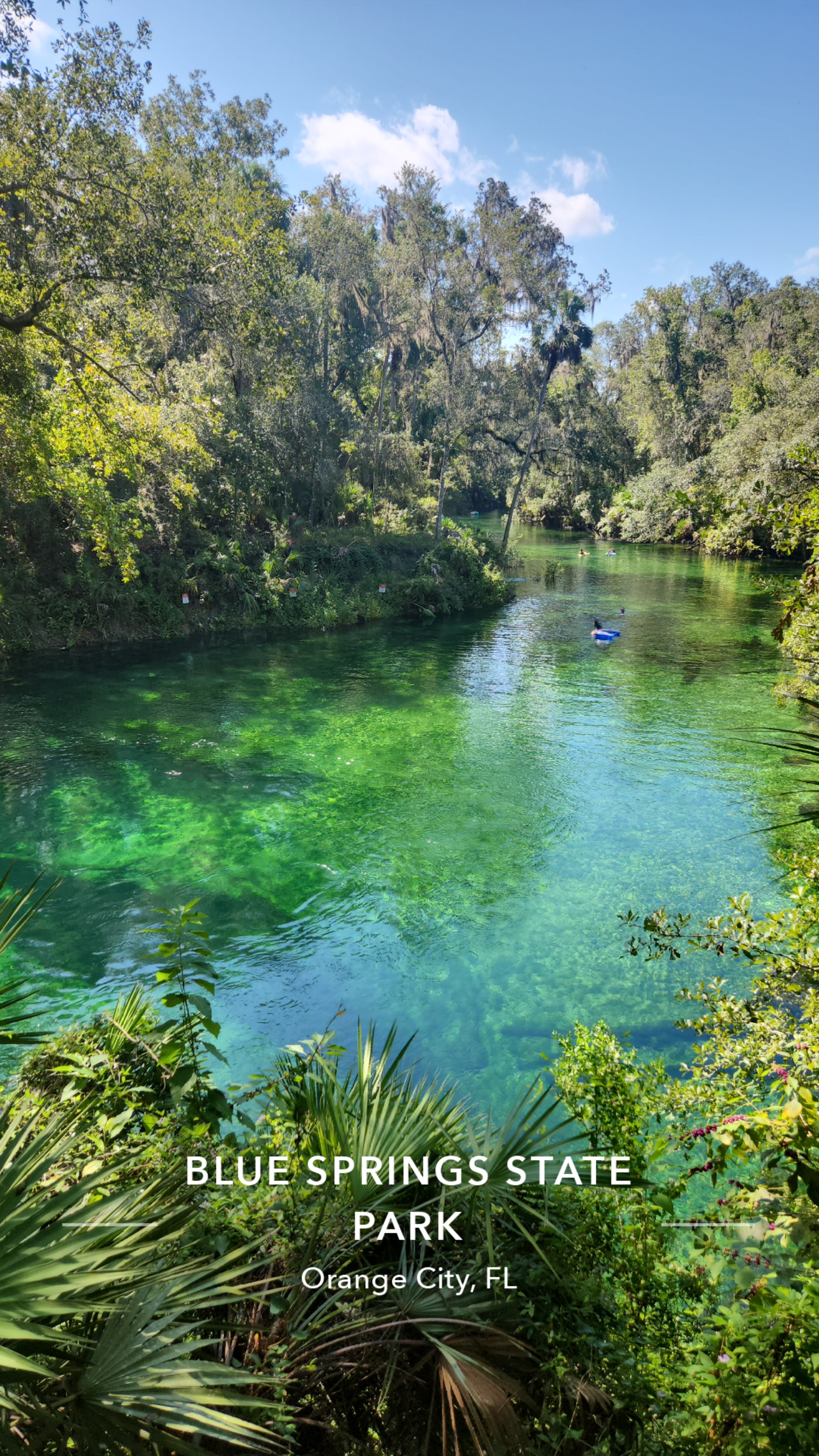 What's Happening Beneath Our Feet? How West Volusia's Springs Affect Local Homeowners header image.